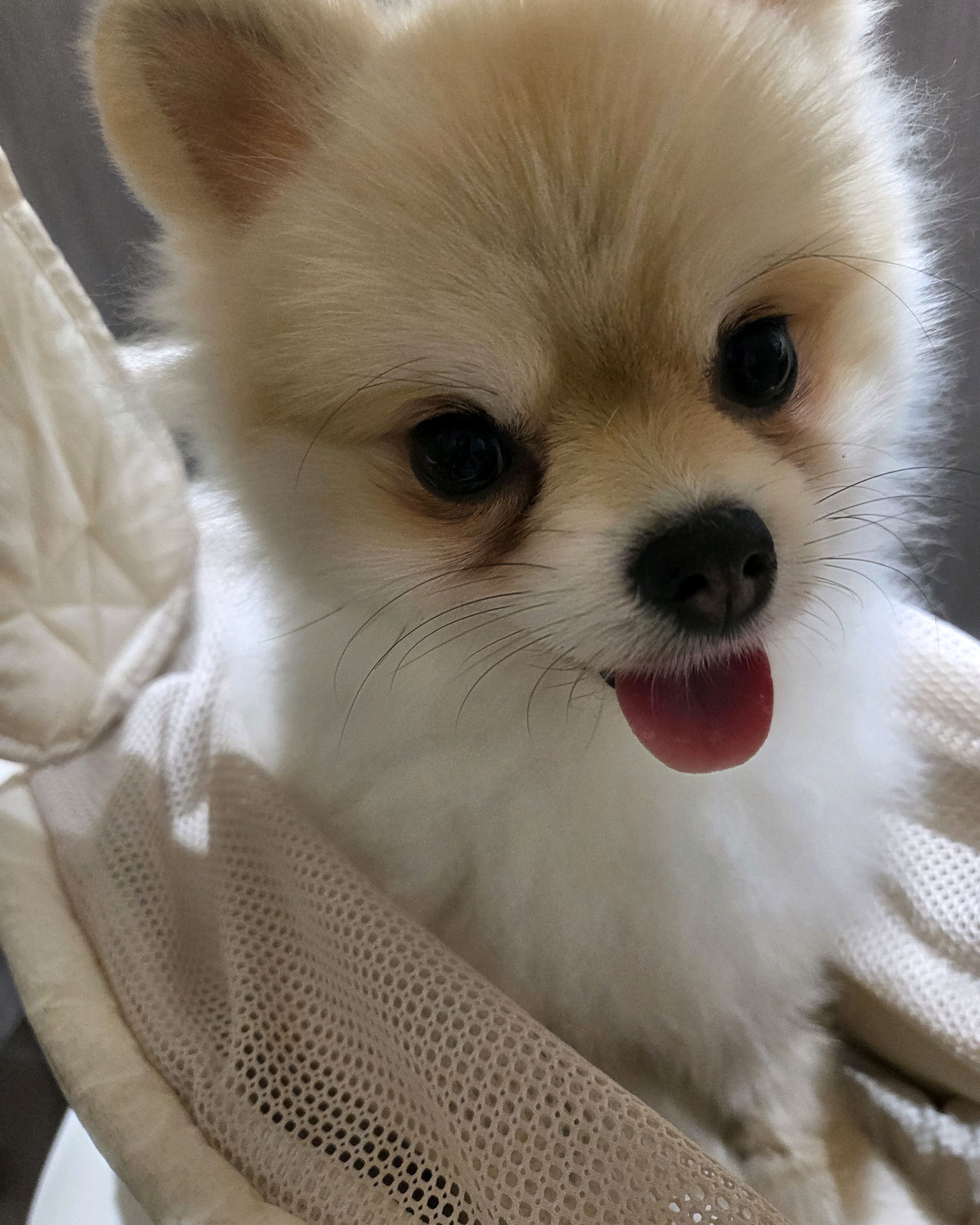 리뷰 사진 1
