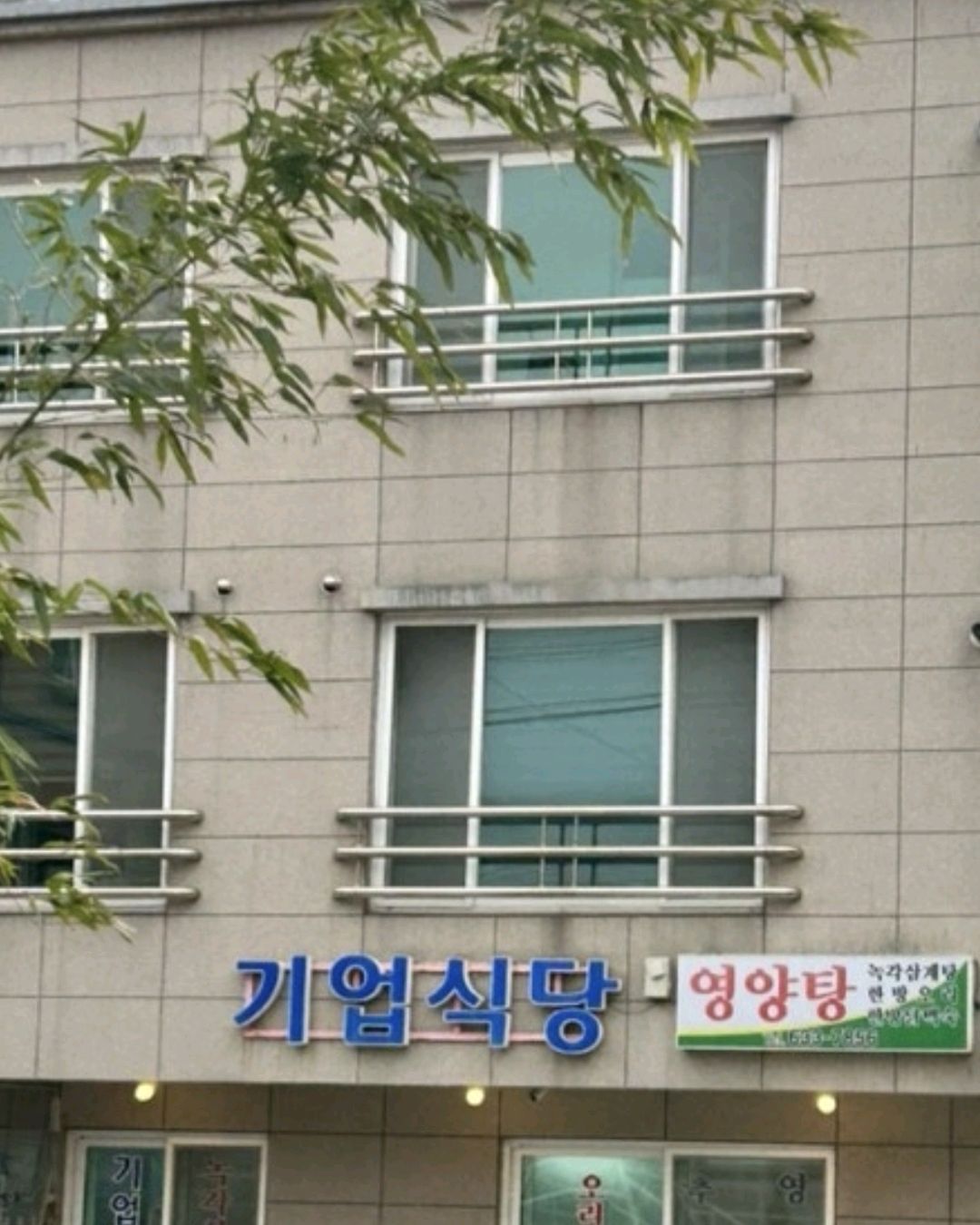 기업식당 5