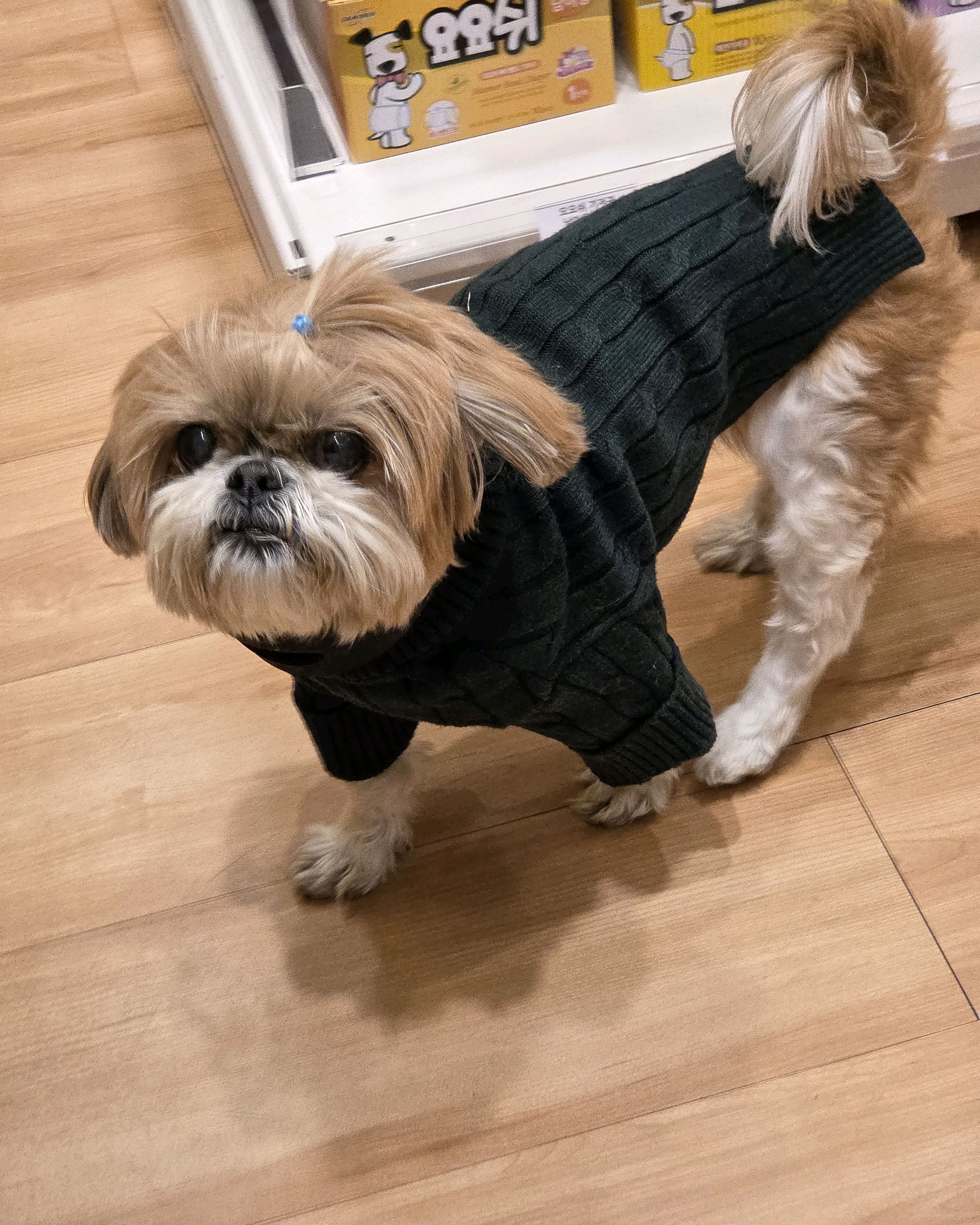 리뷰 사진 1