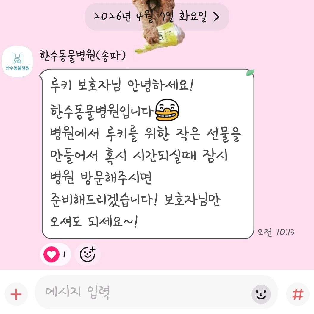 리뷰 사진 1
