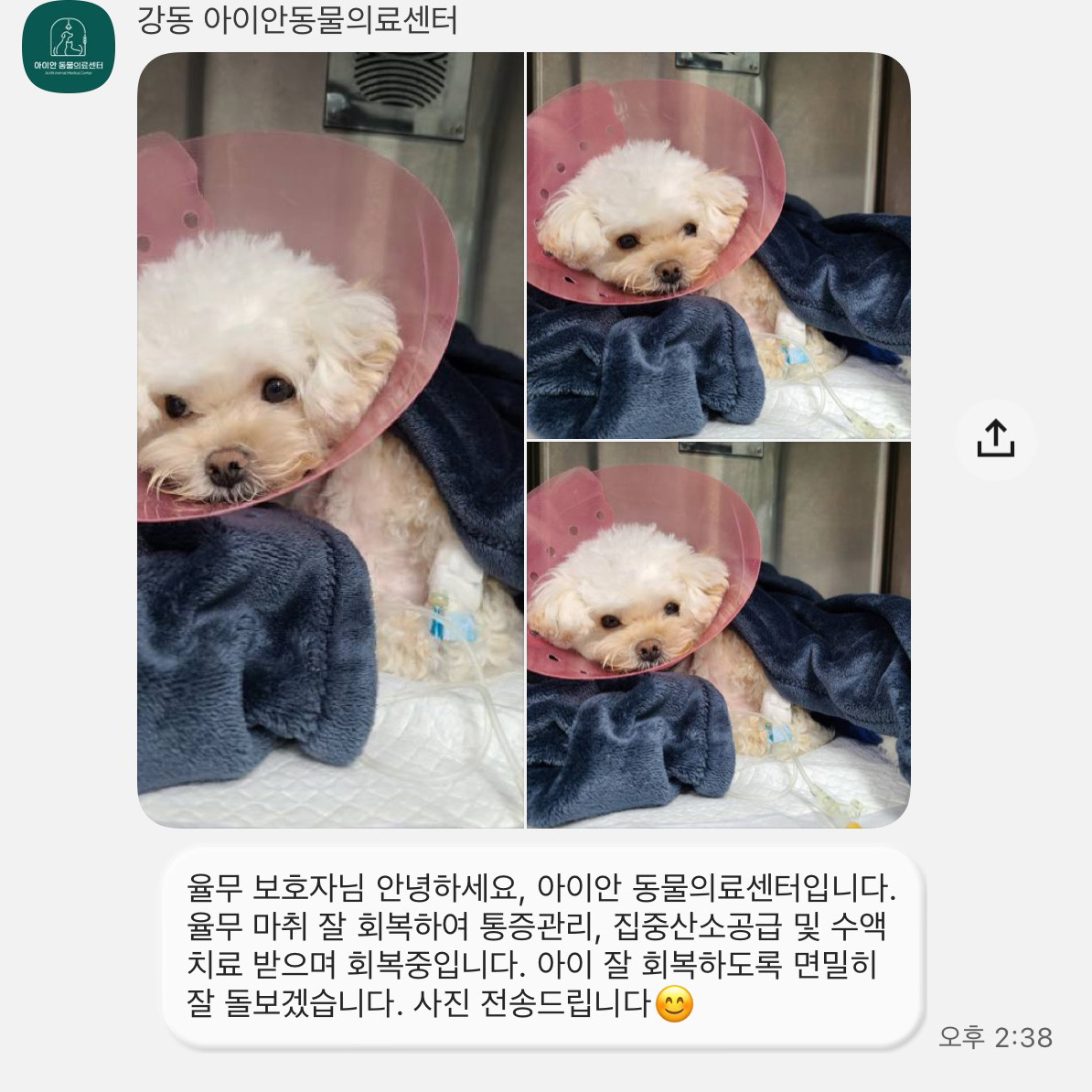 리뷰 사진 3