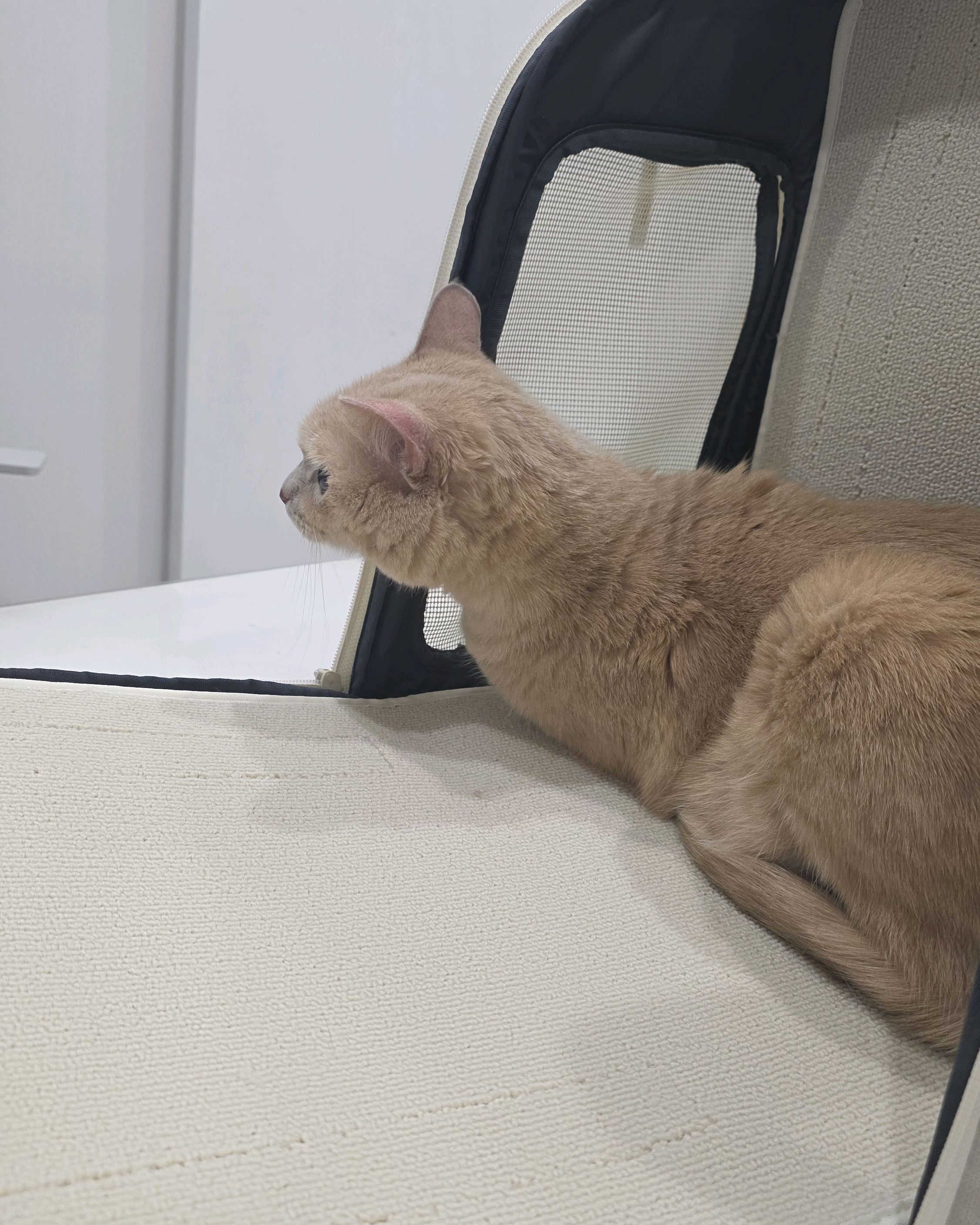 리뷰 사진 1
