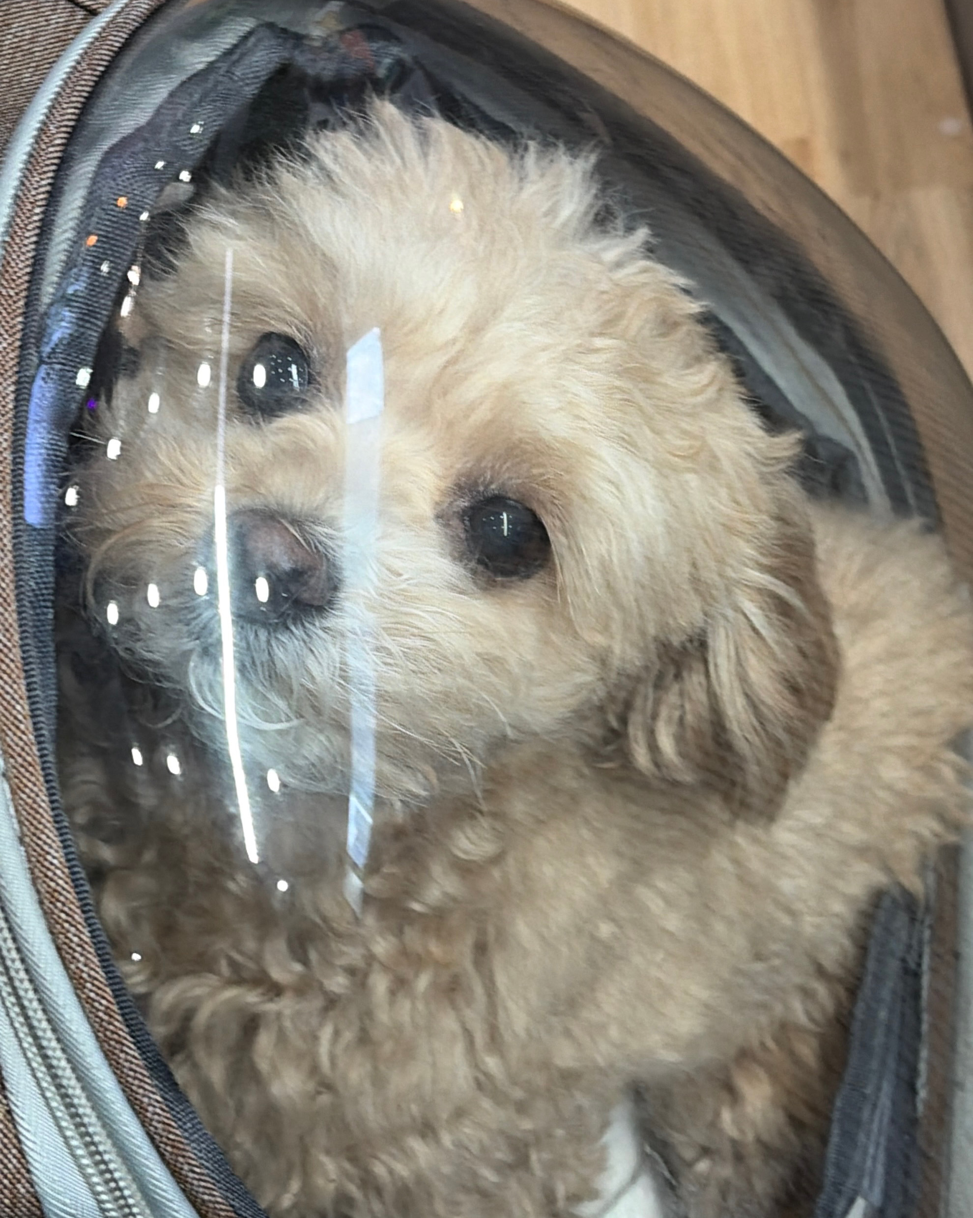 리뷰 사진 1