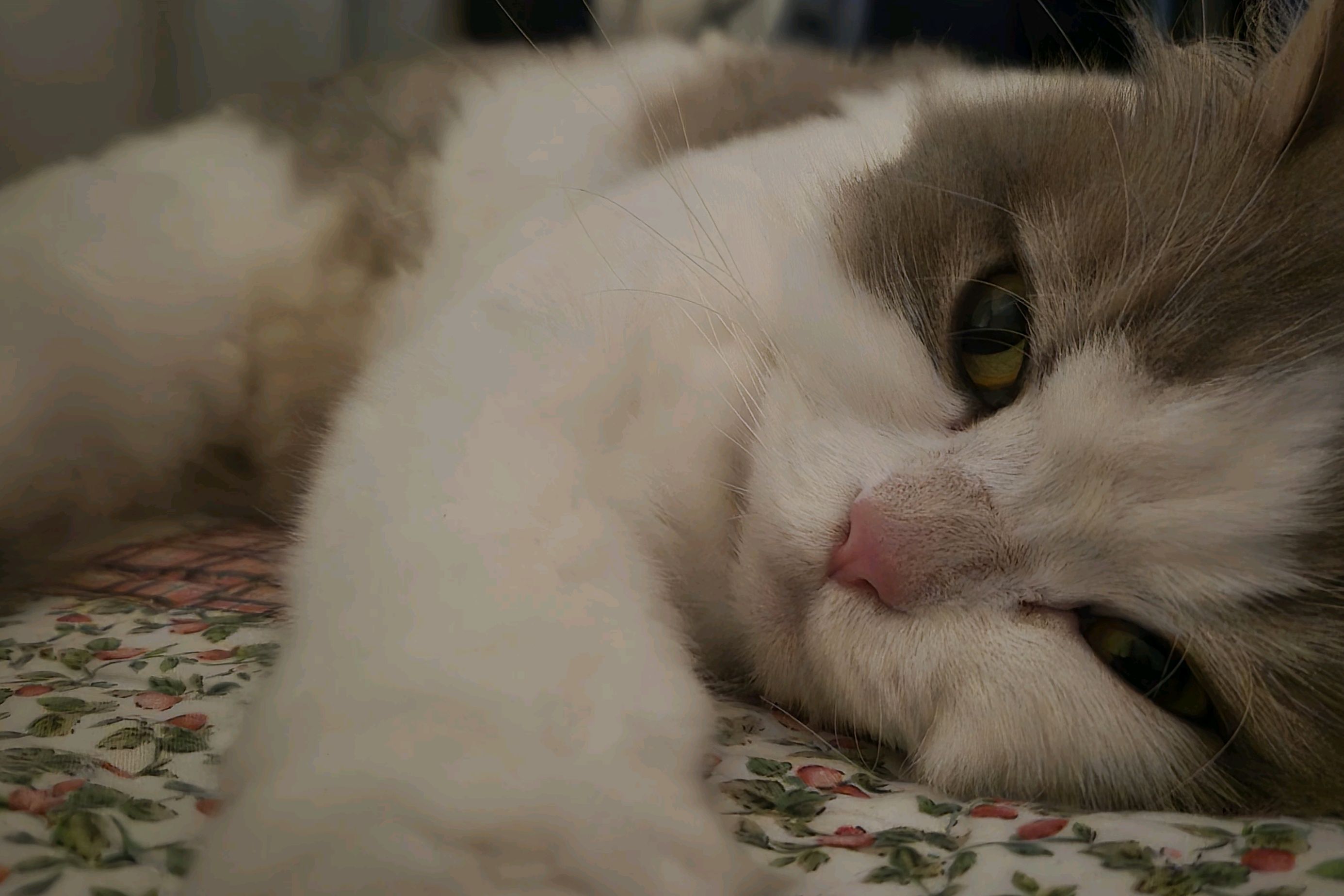 리뷰 사진 1