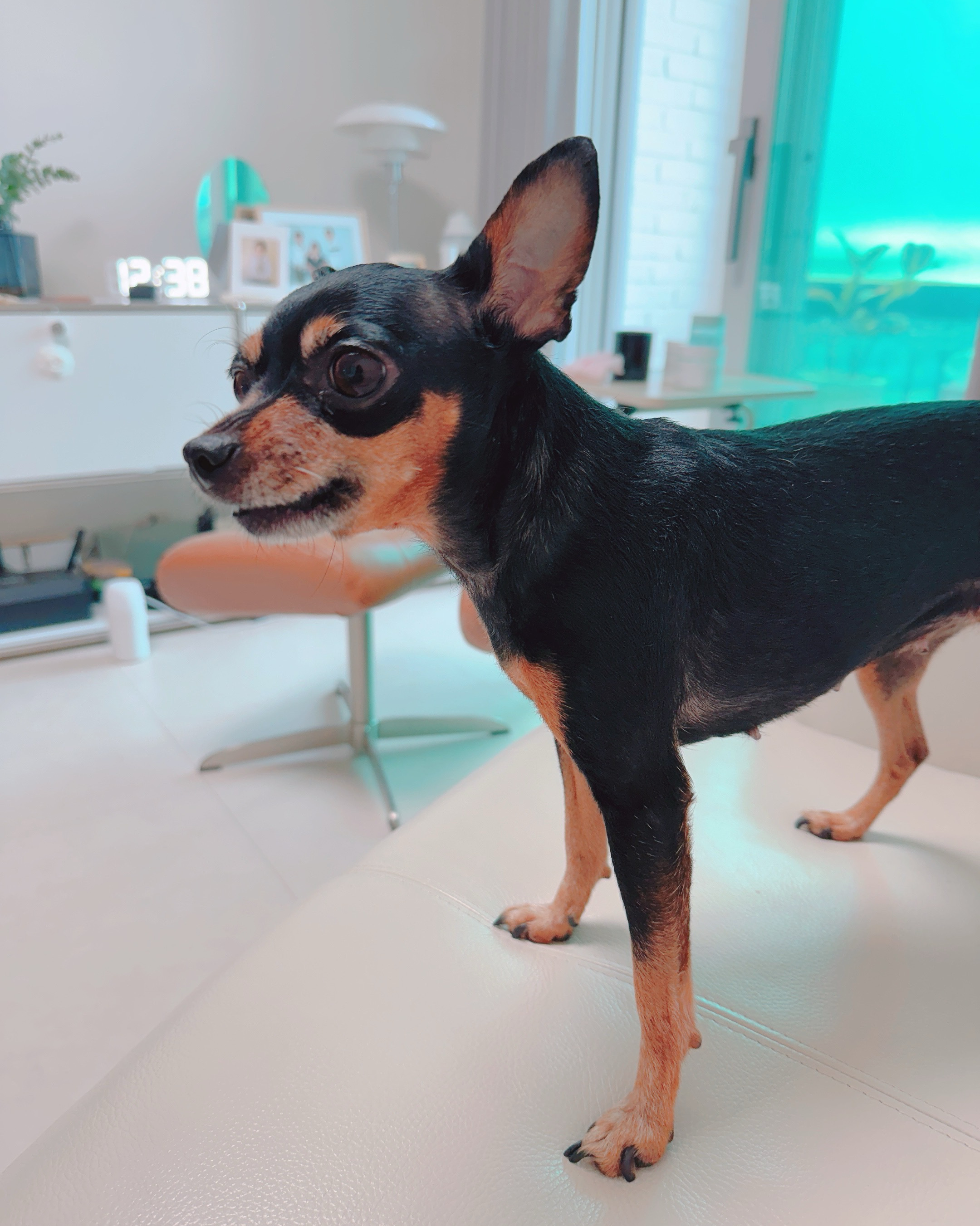 리뷰 사진 1