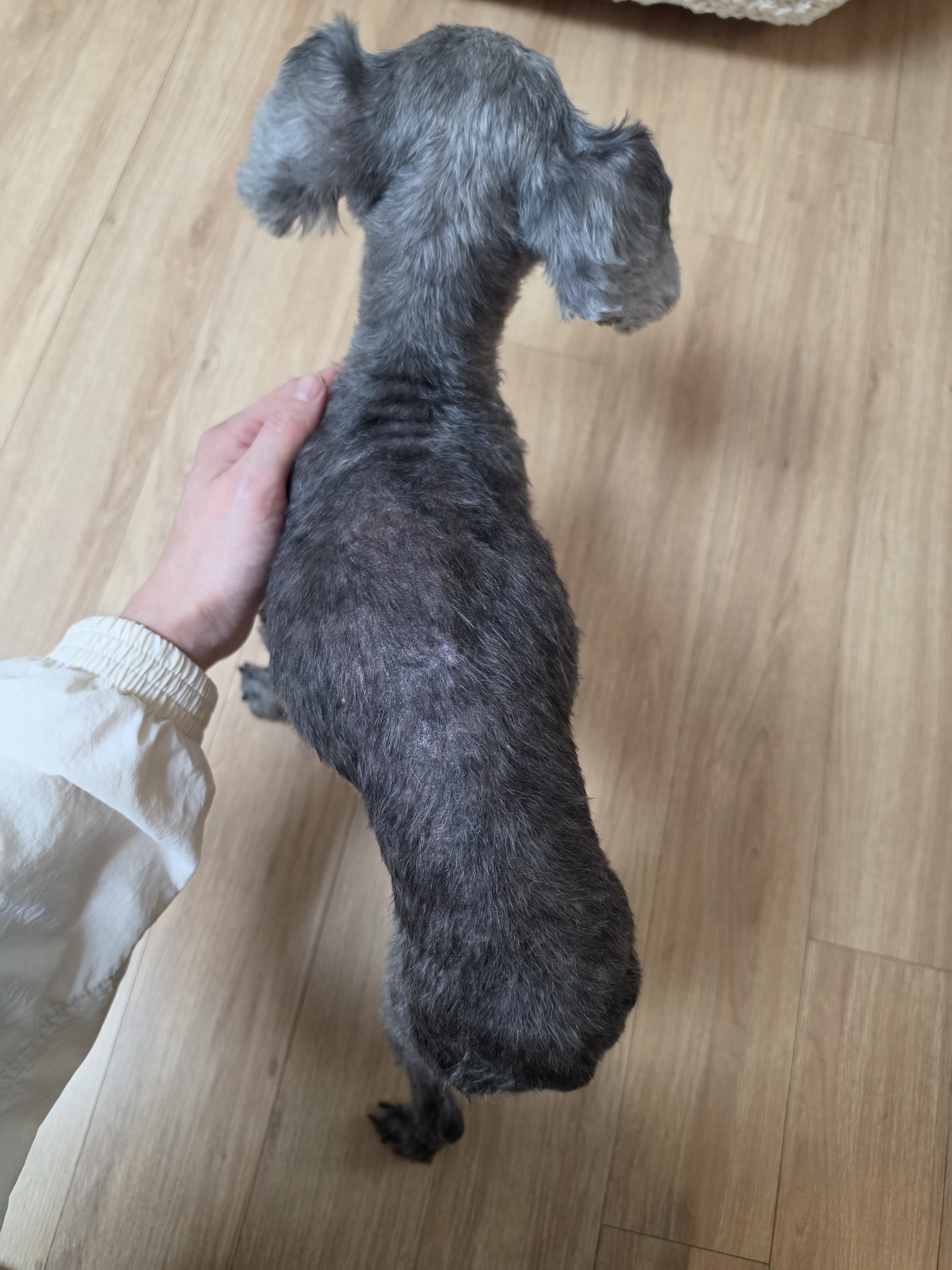 리뷰 사진 2