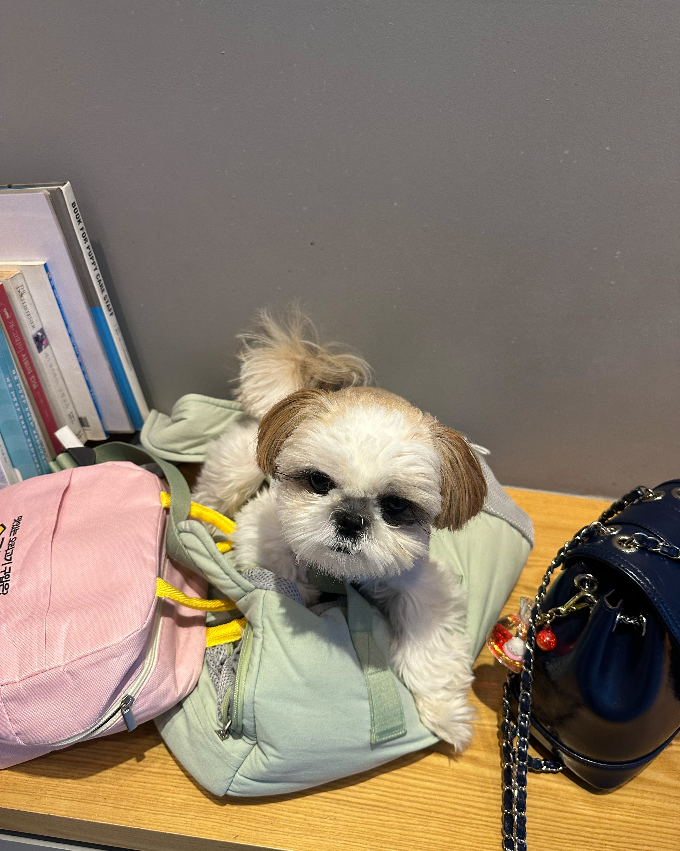 리뷰 사진 1