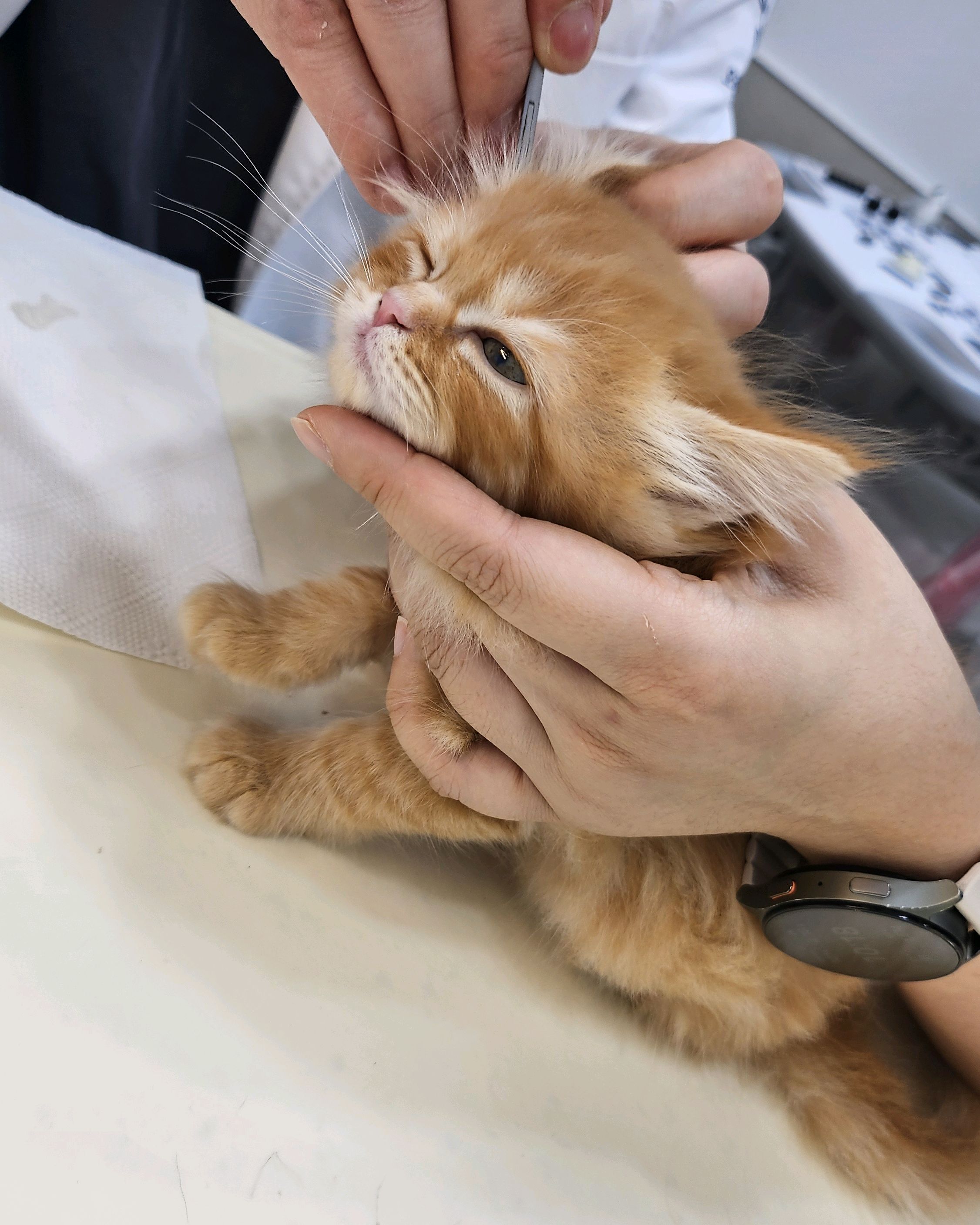 리뷰 사진 3