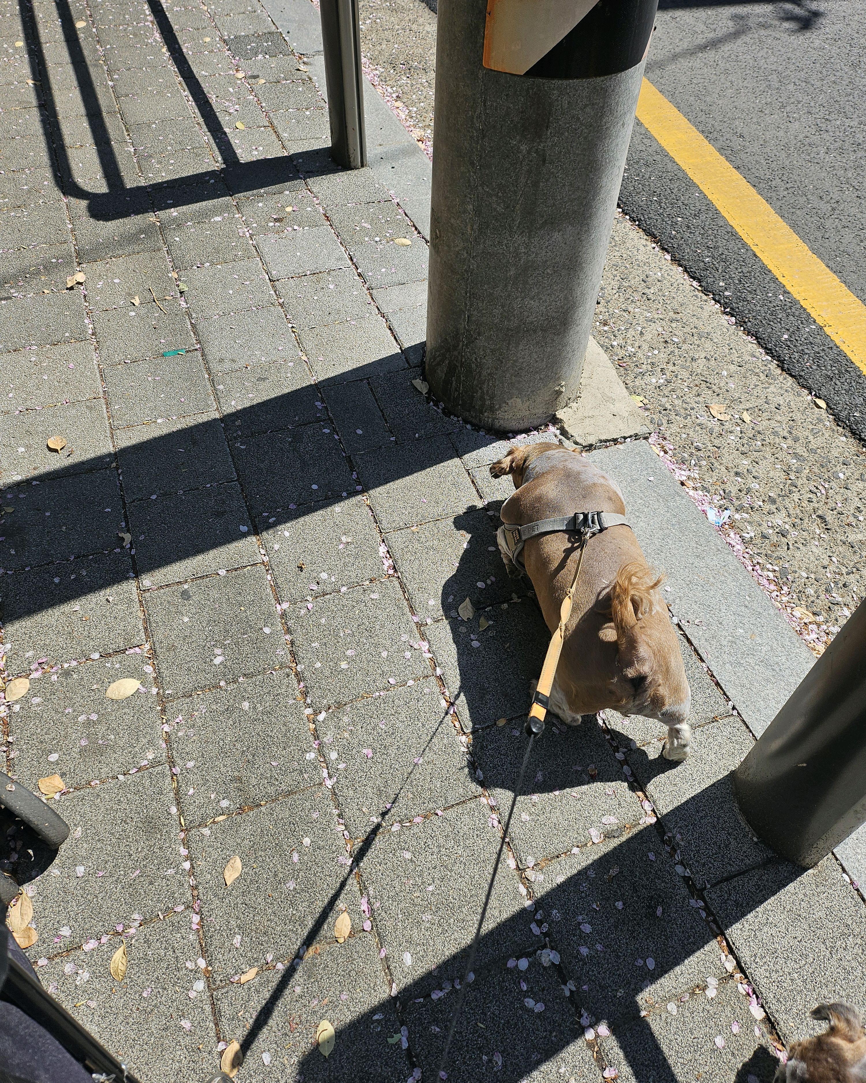 리뷰 사진 1
