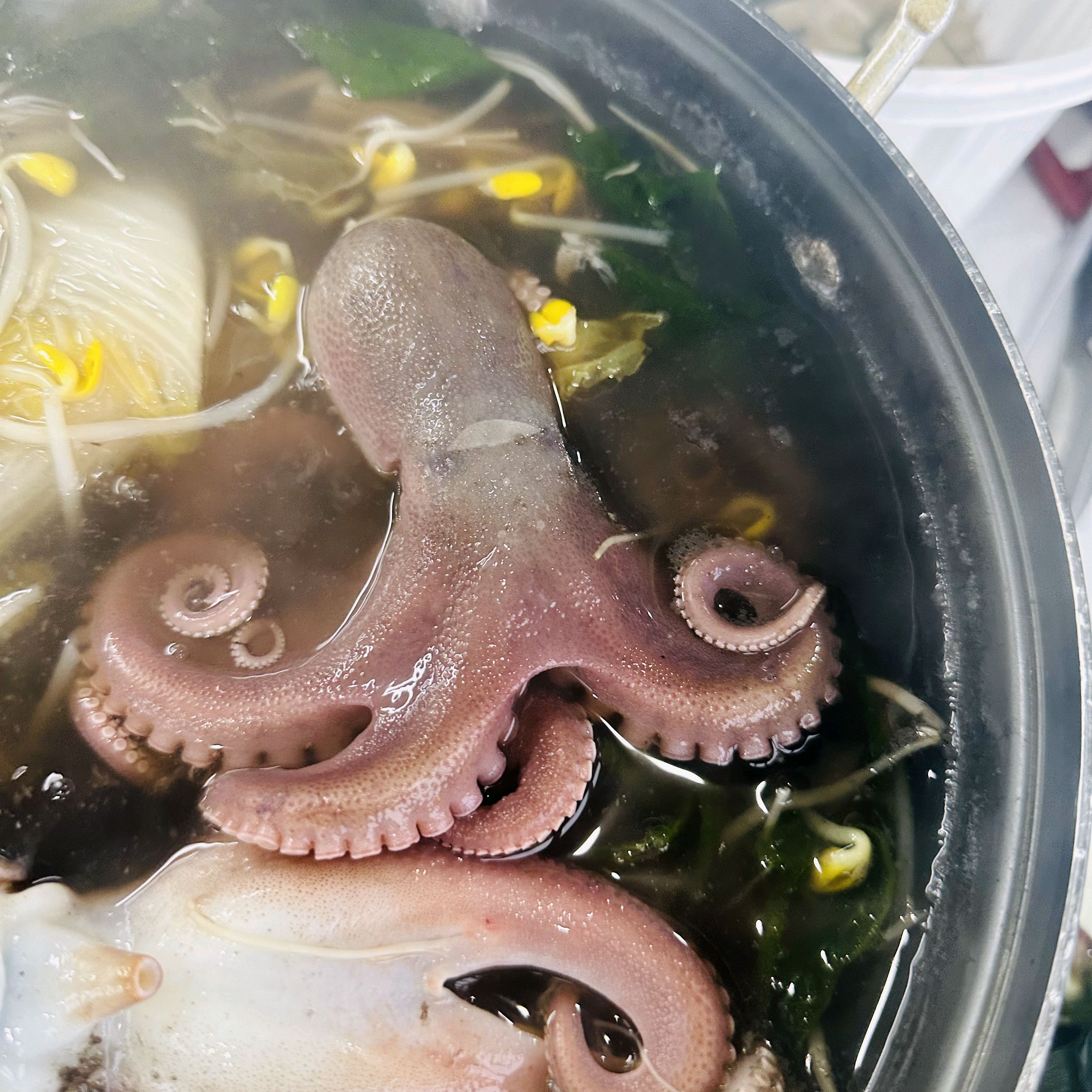 익어가는 쭈꾸미와 채소