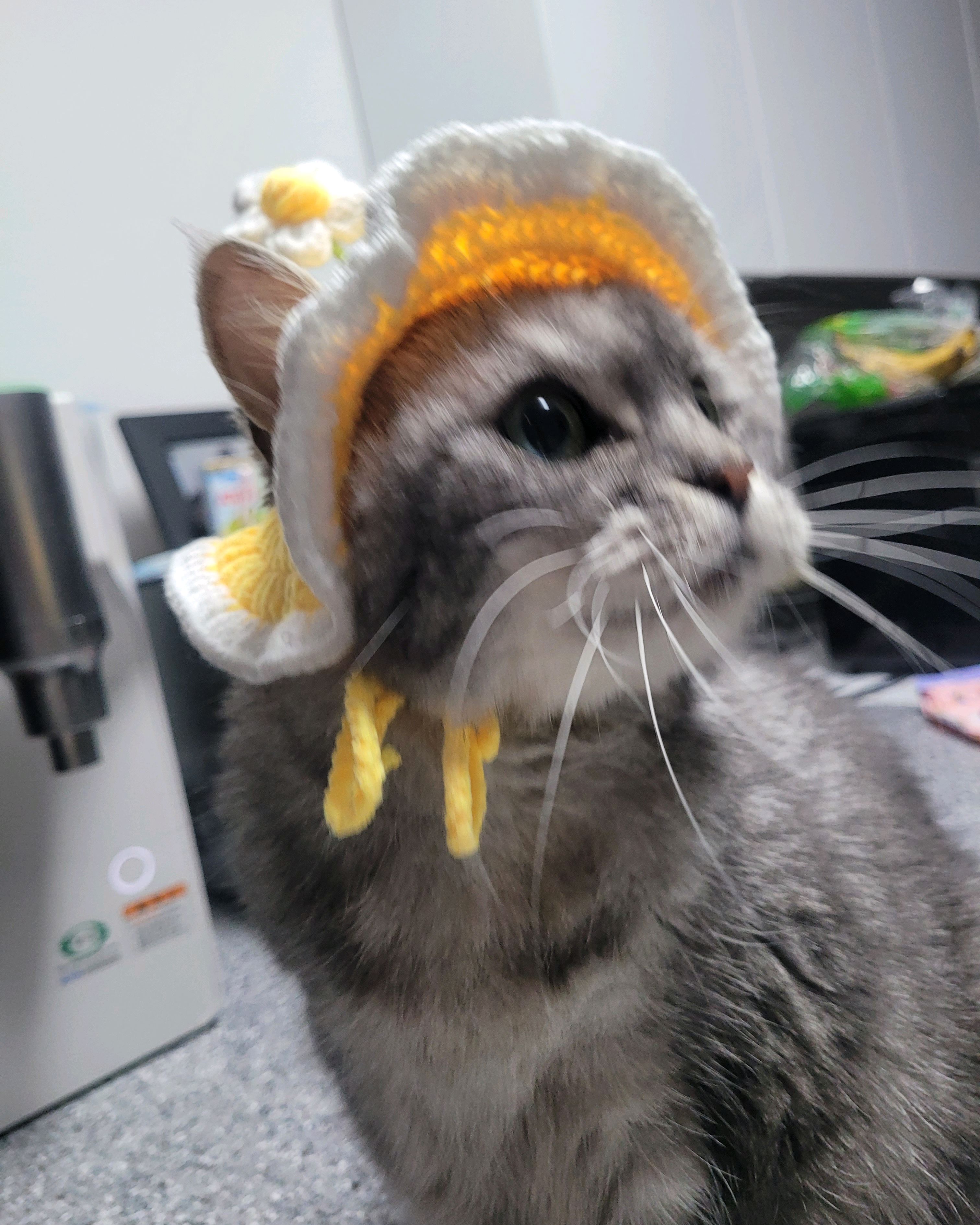 리뷰 사진 1