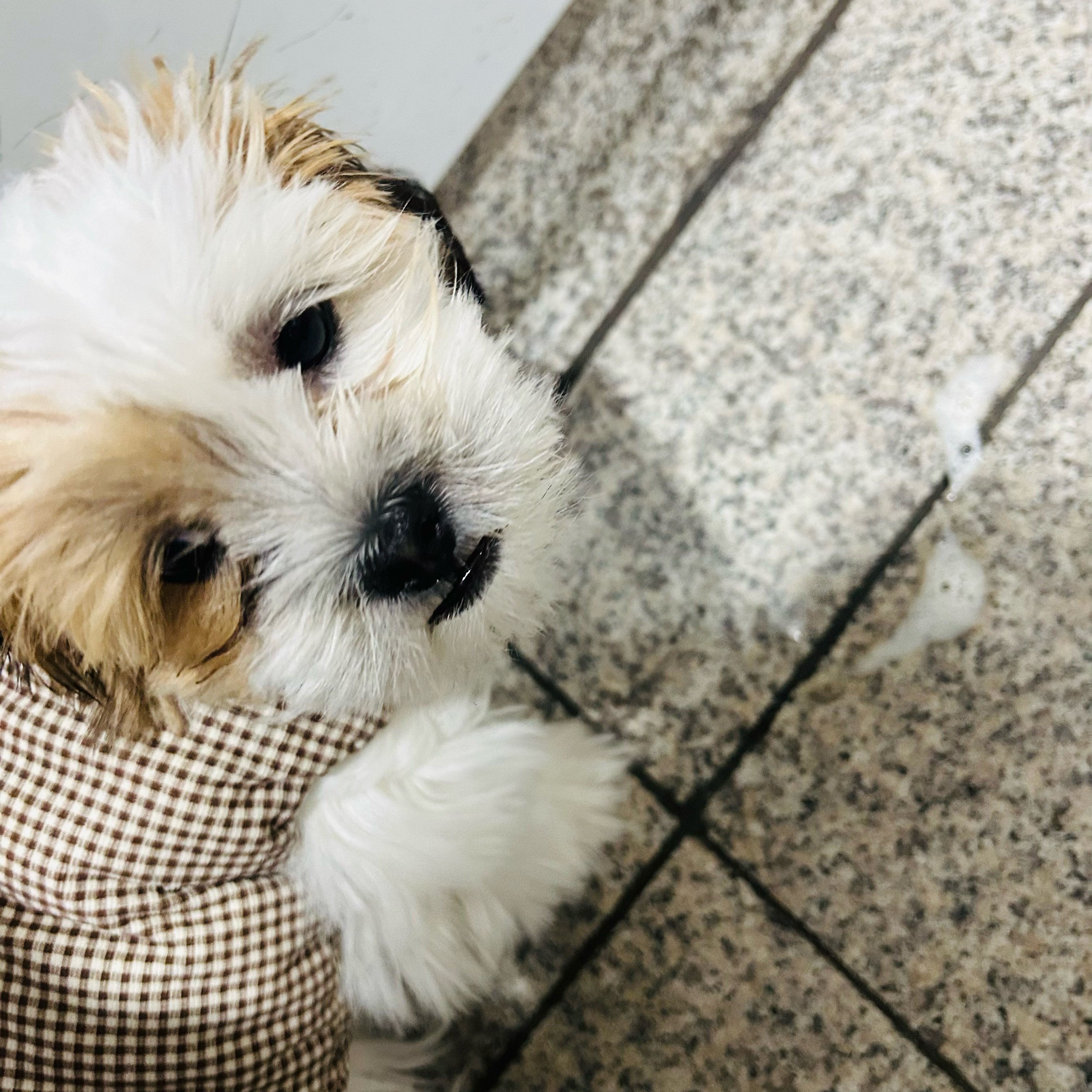 리뷰 사진 1
