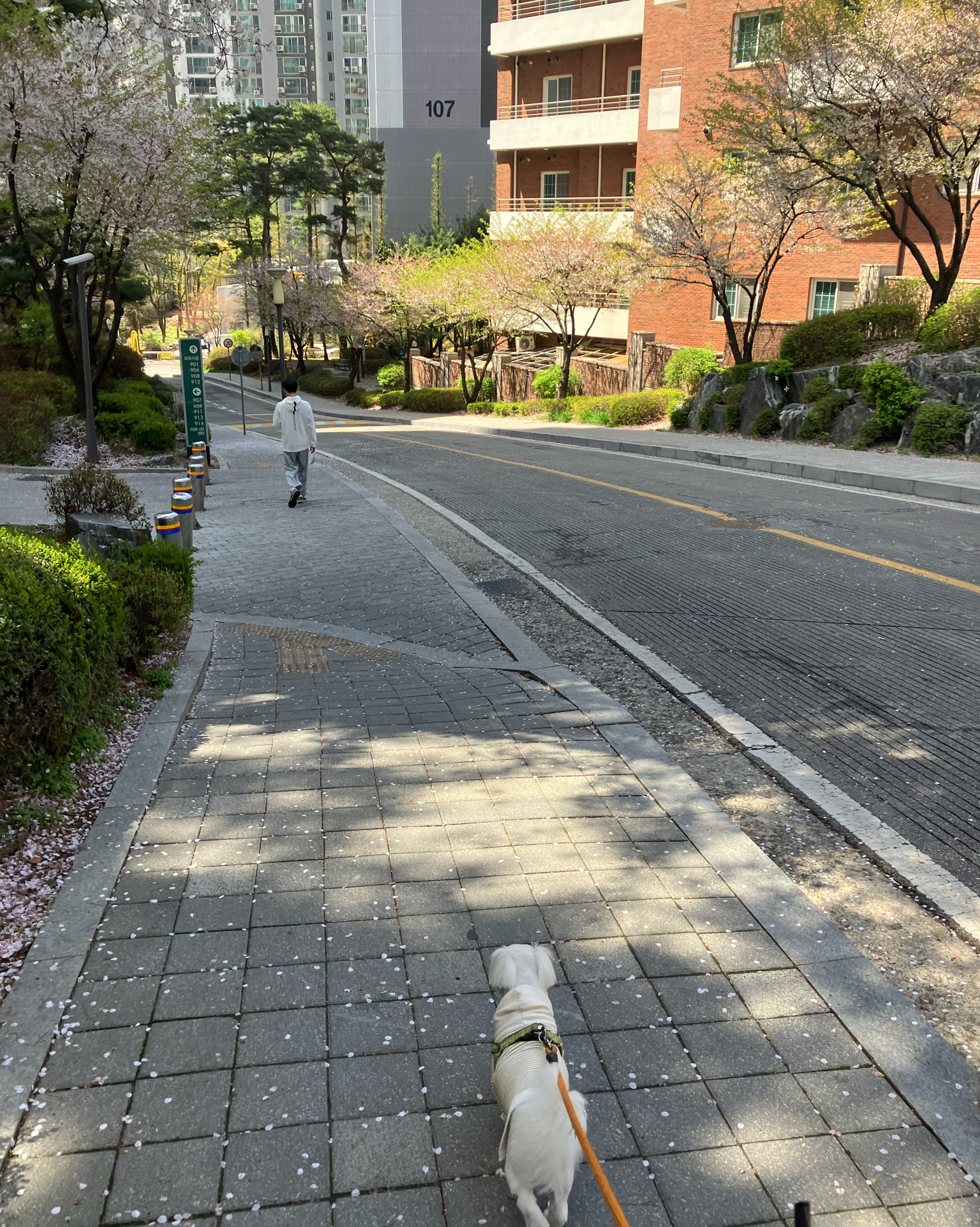 리뷰 사진 2