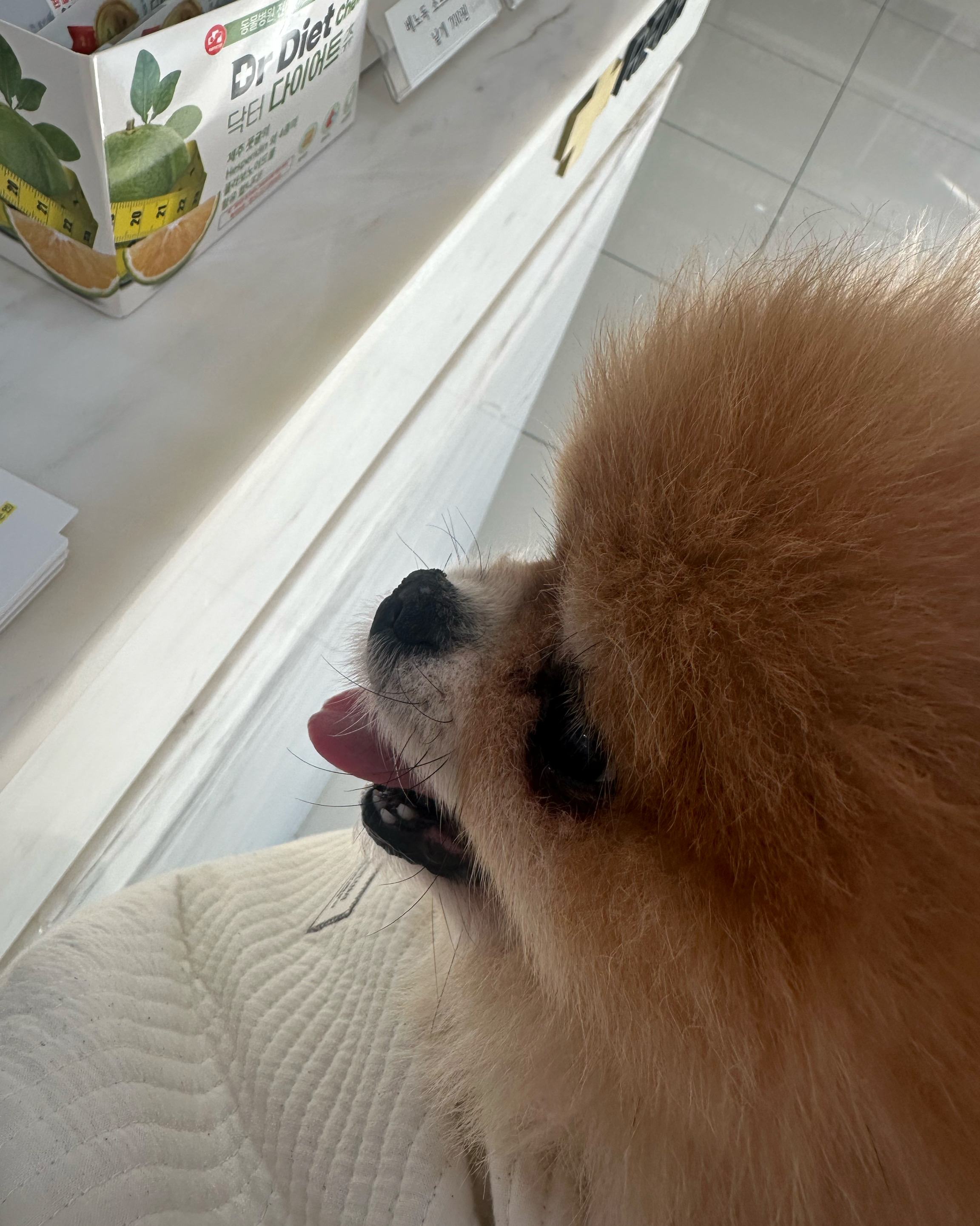 리뷰 사진 1