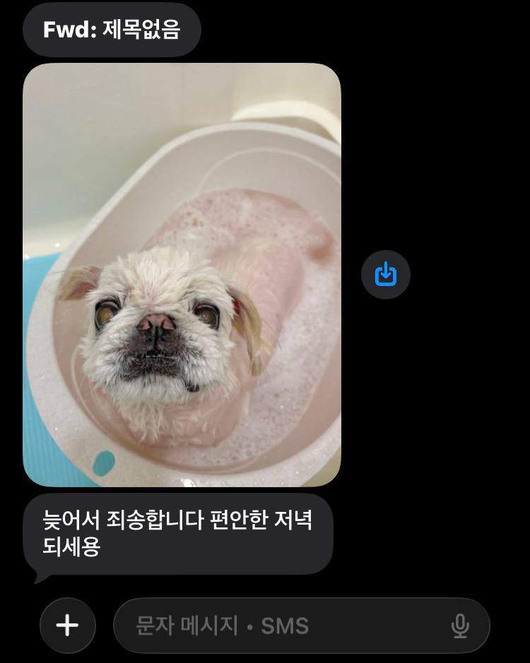 리뷰 사진 1