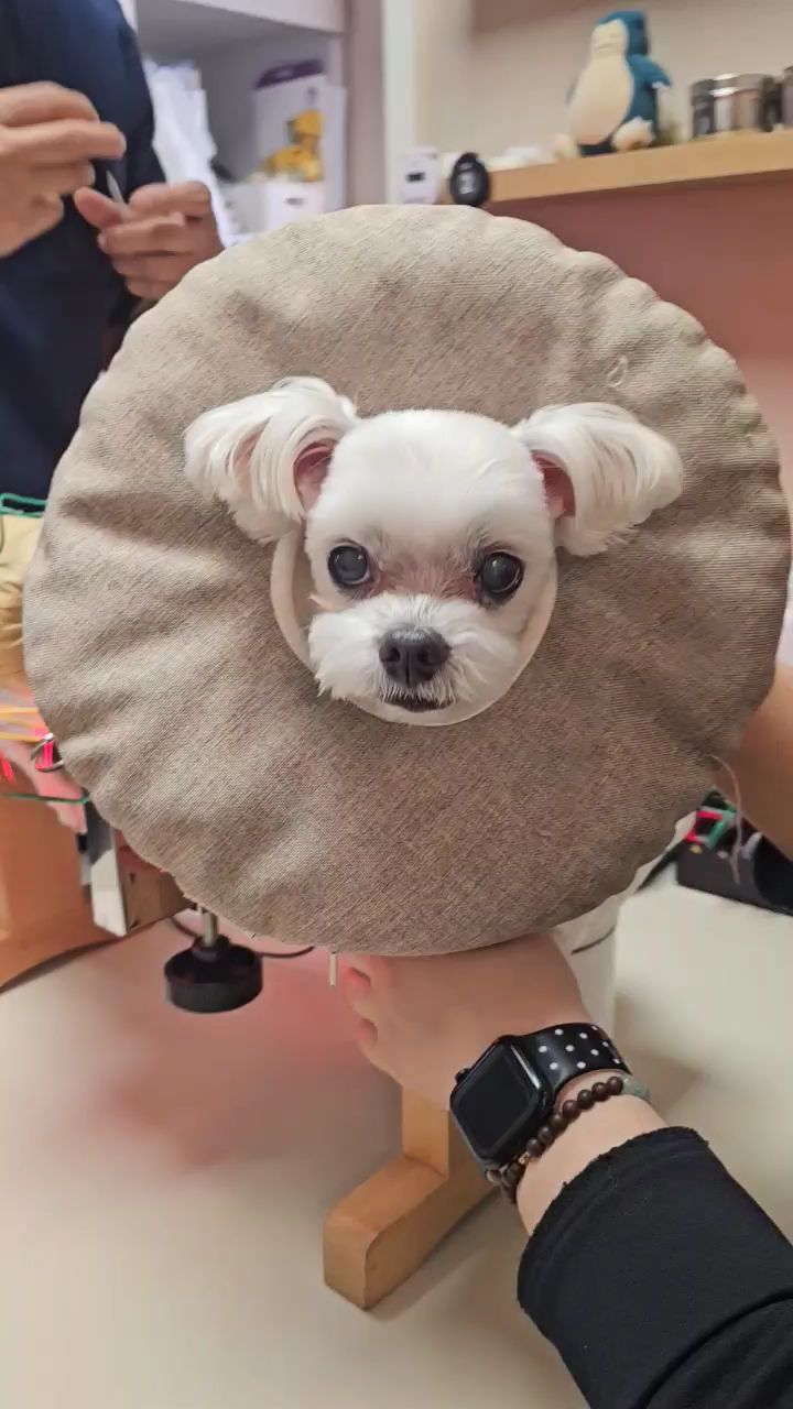 리뷰 사진 3