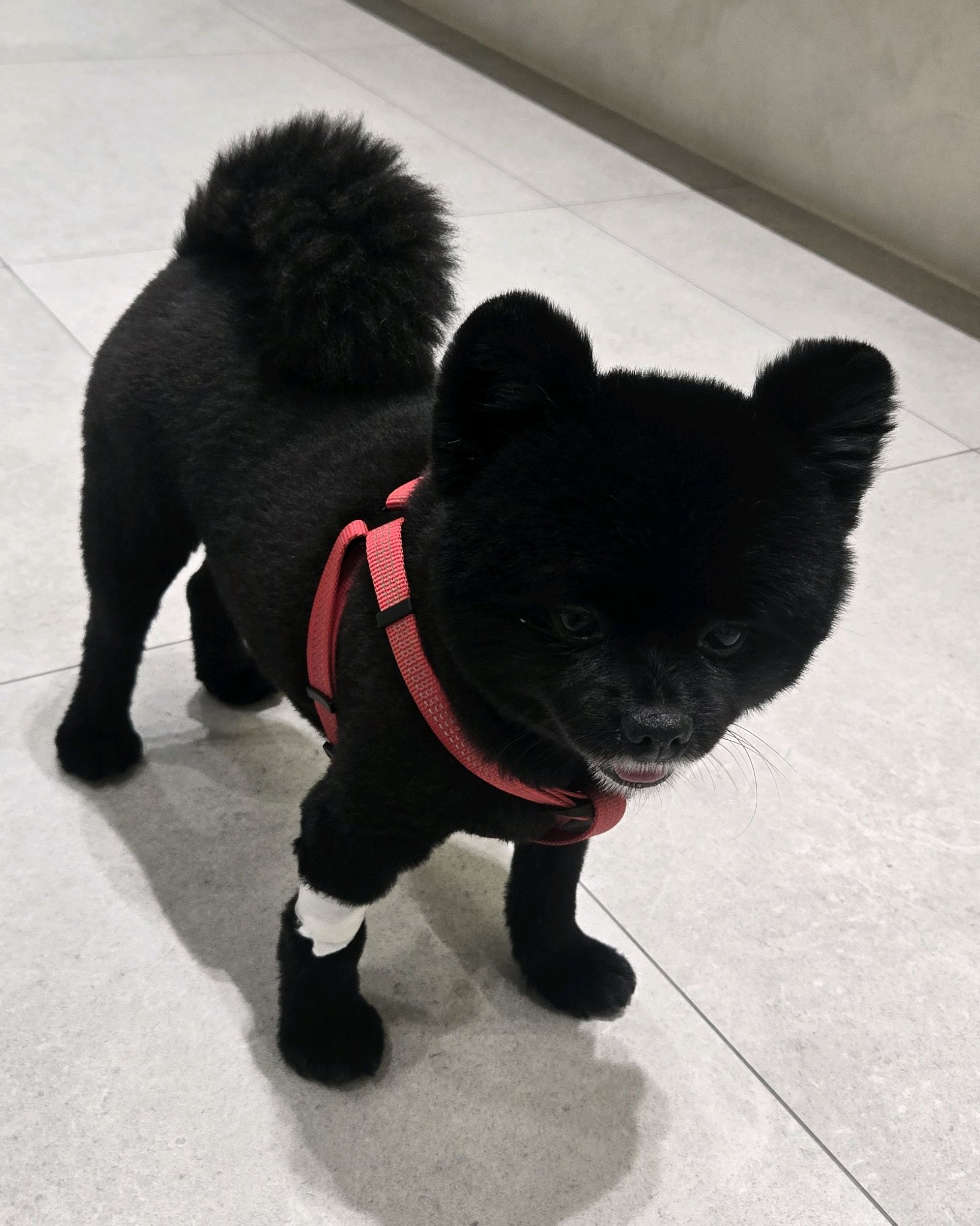리뷰 사진 1