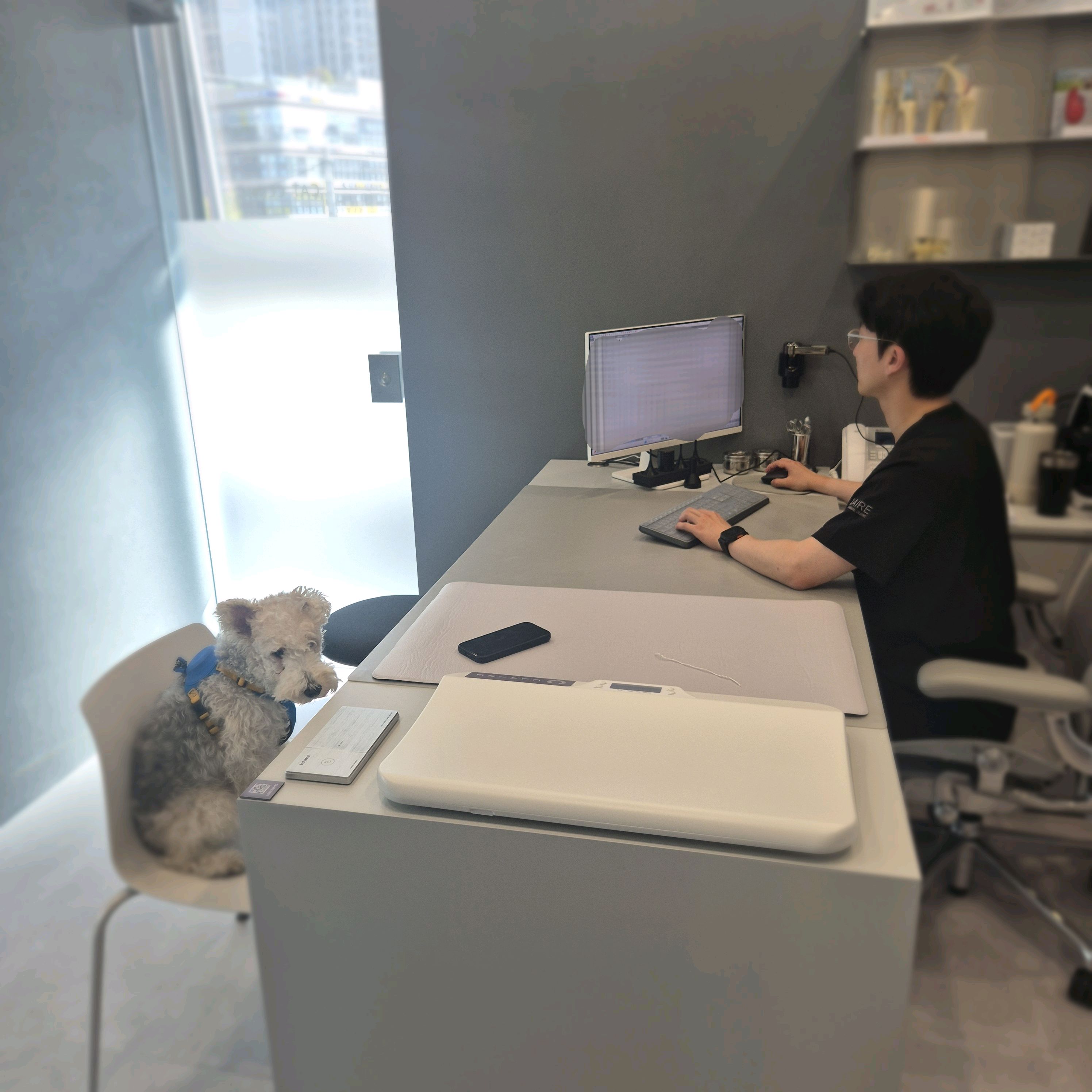 리뷰 사진 1