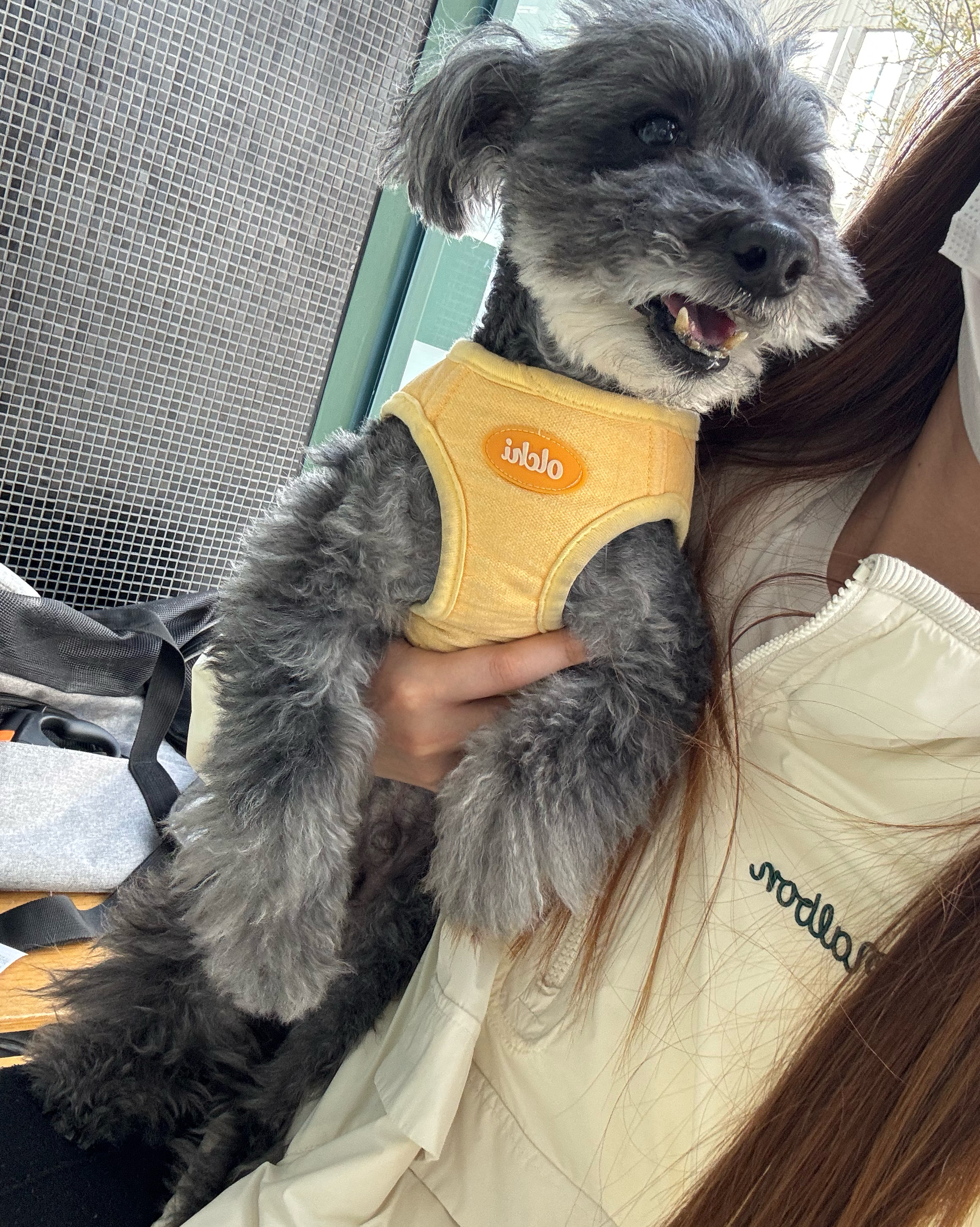 리뷰 사진 1