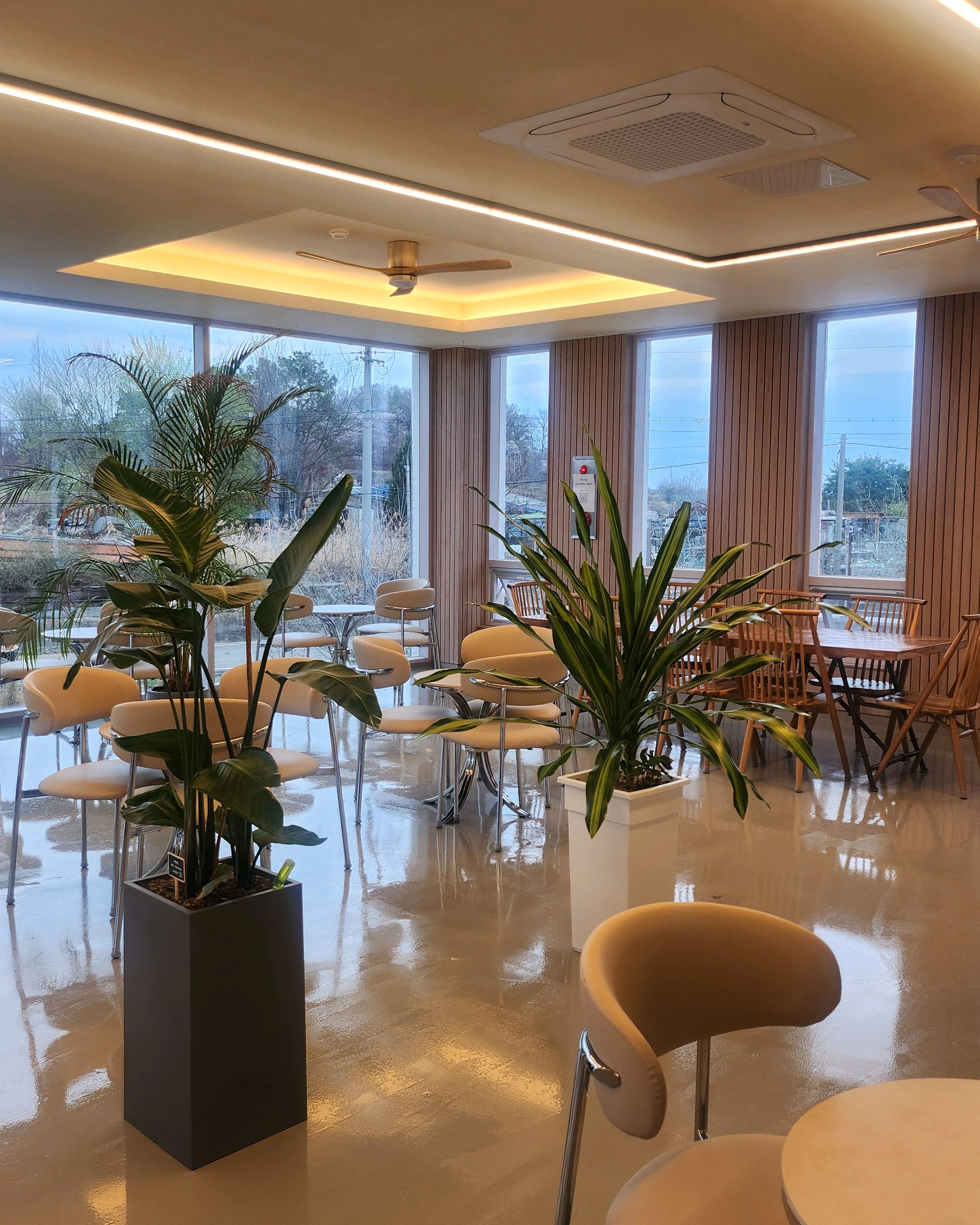 진열된 빵들의 모습