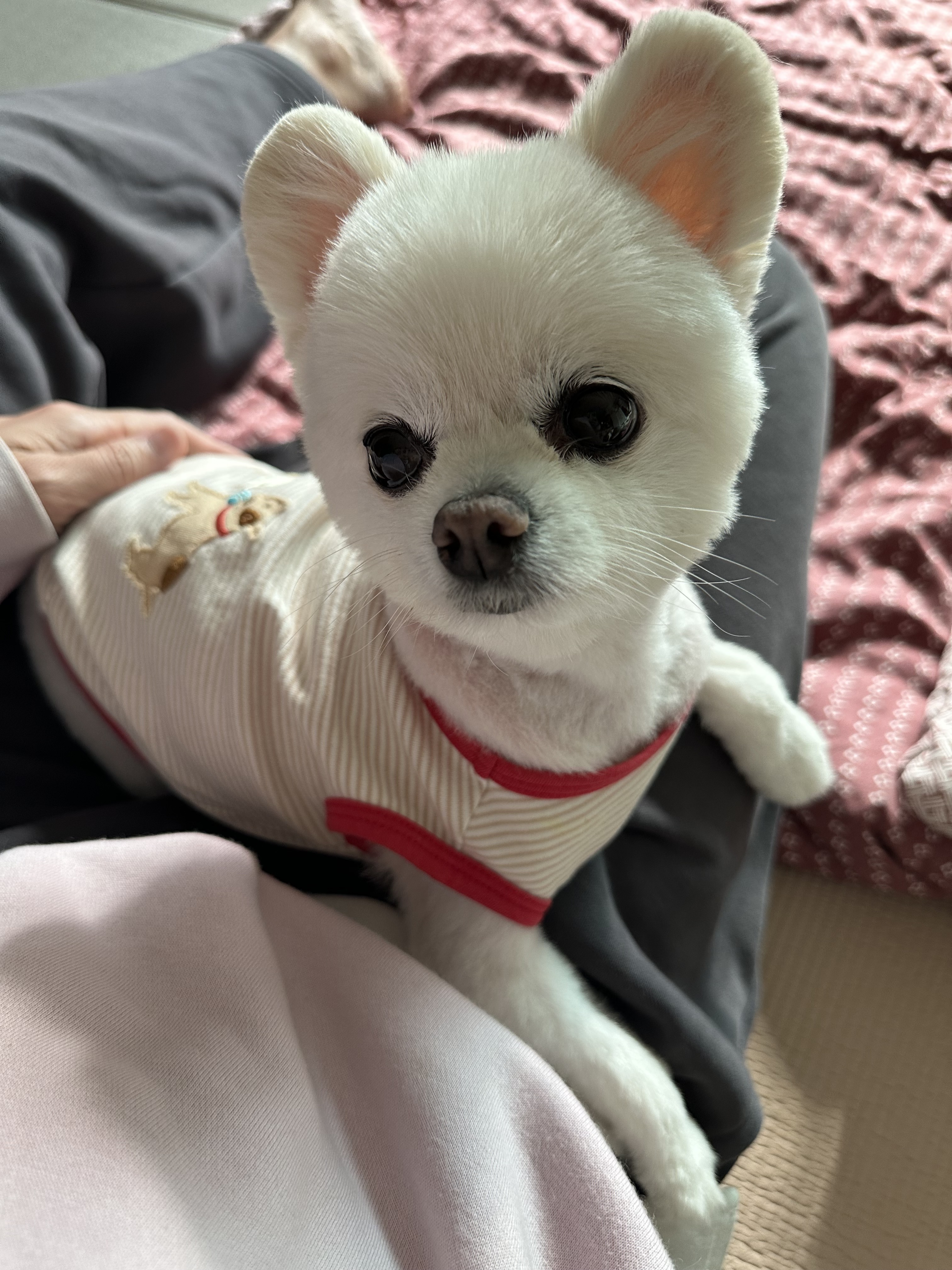 리뷰 사진 1