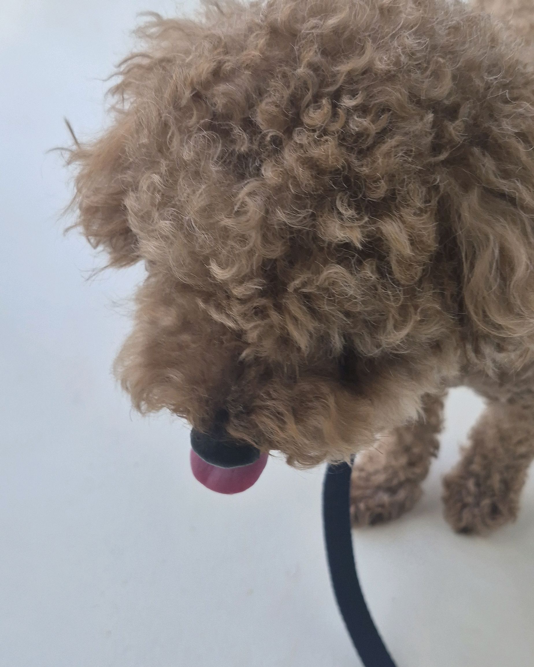 리뷰 사진 2
