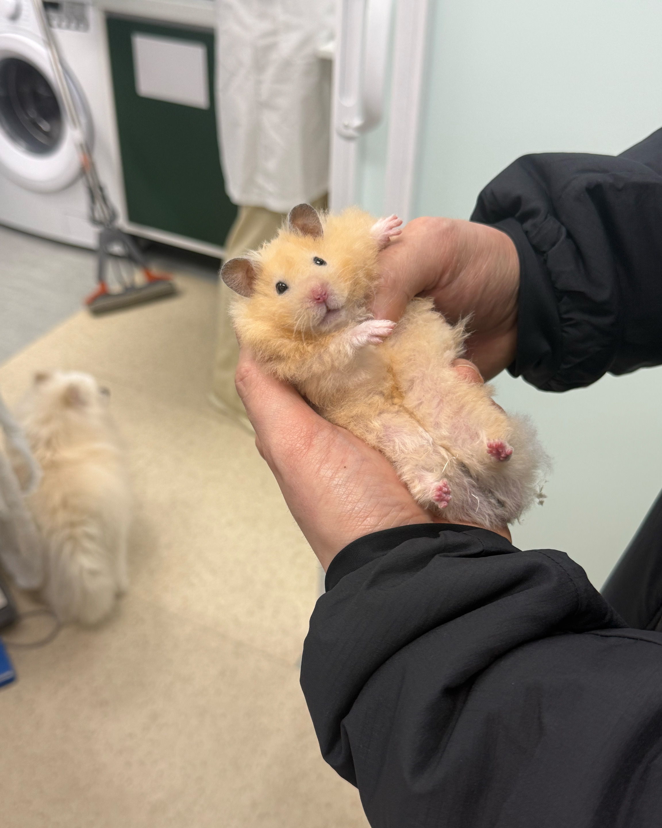리뷰 사진 3