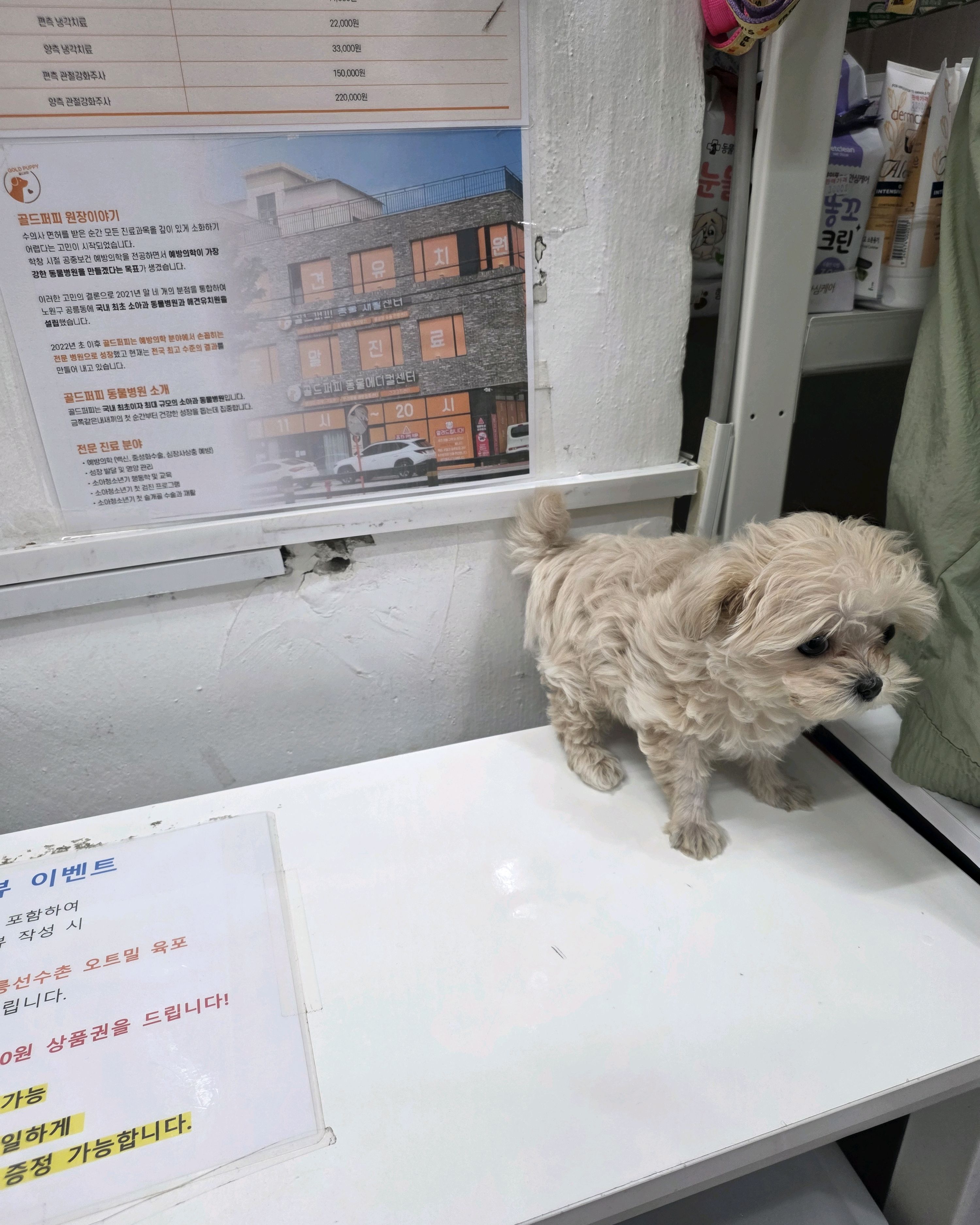 리뷰 사진 1