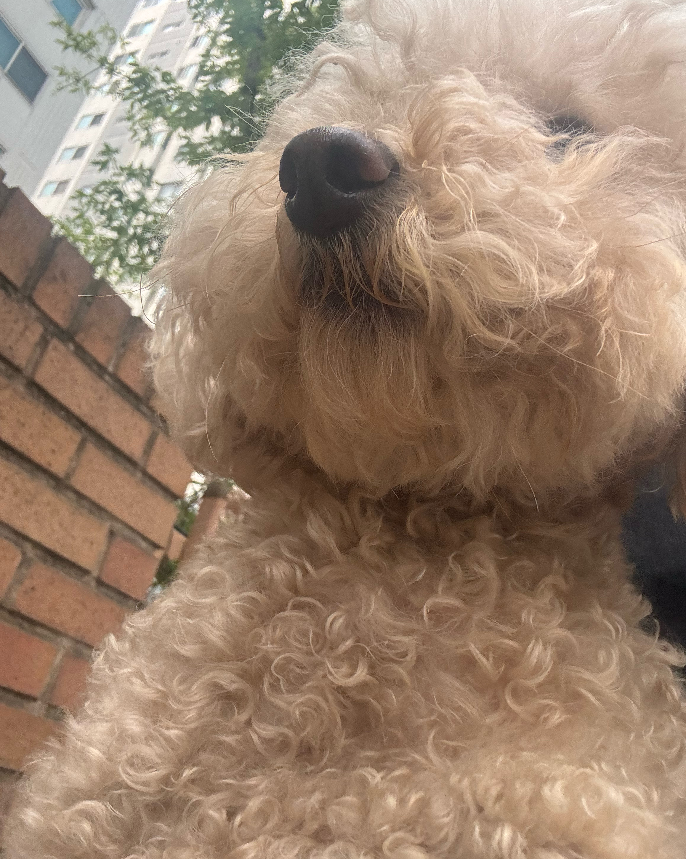 리뷰 사진 1