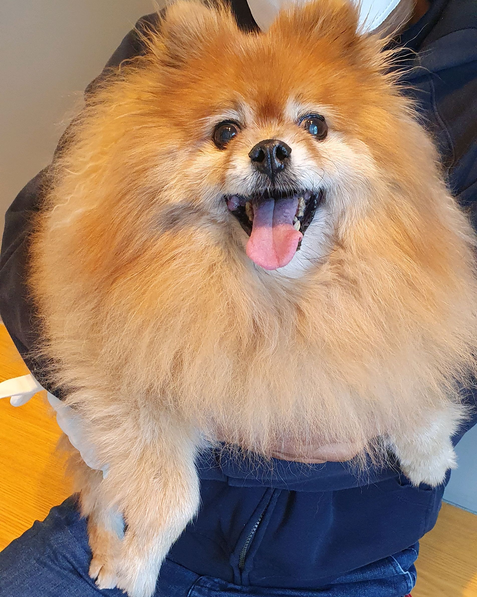 리뷰 사진 1