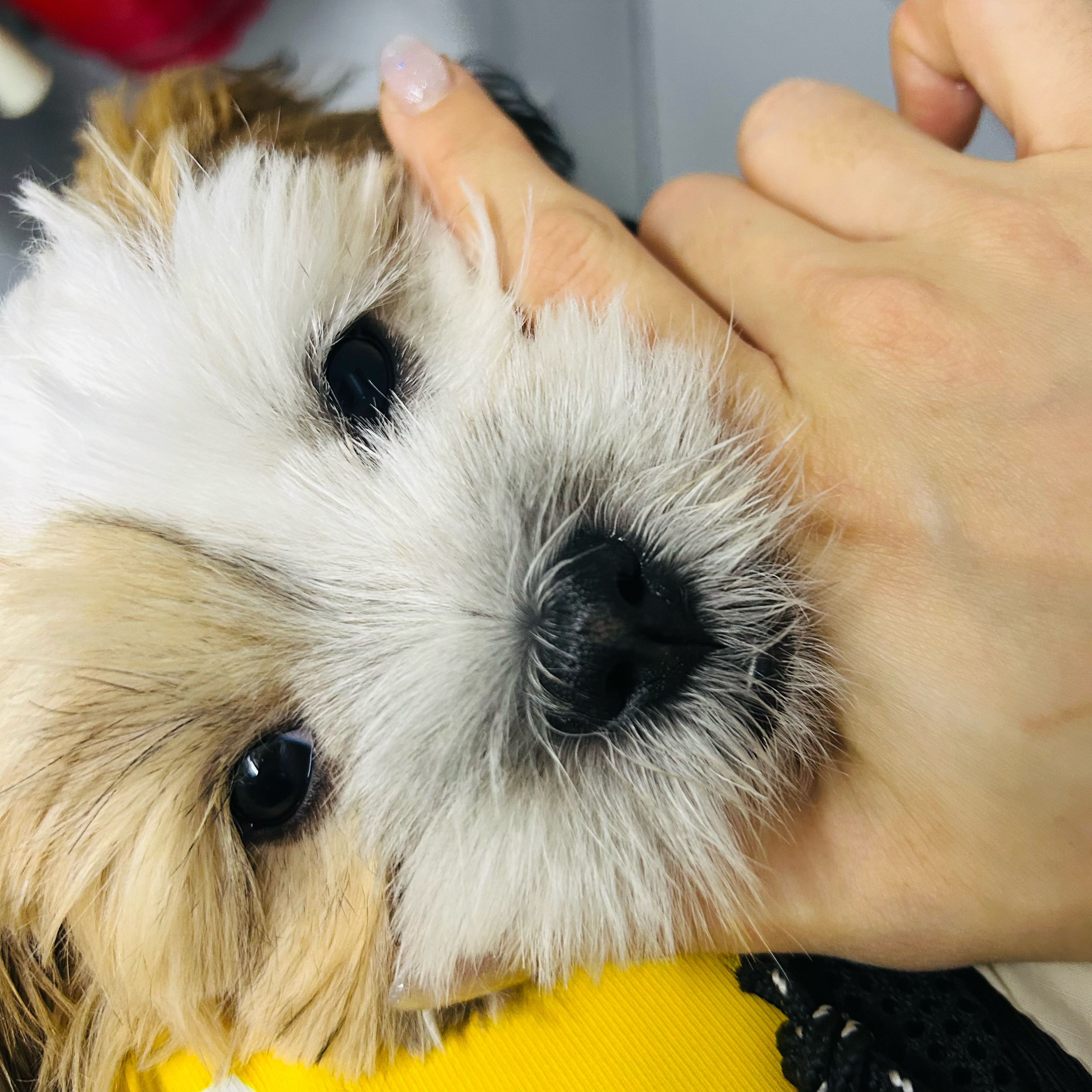 리뷰 사진 1