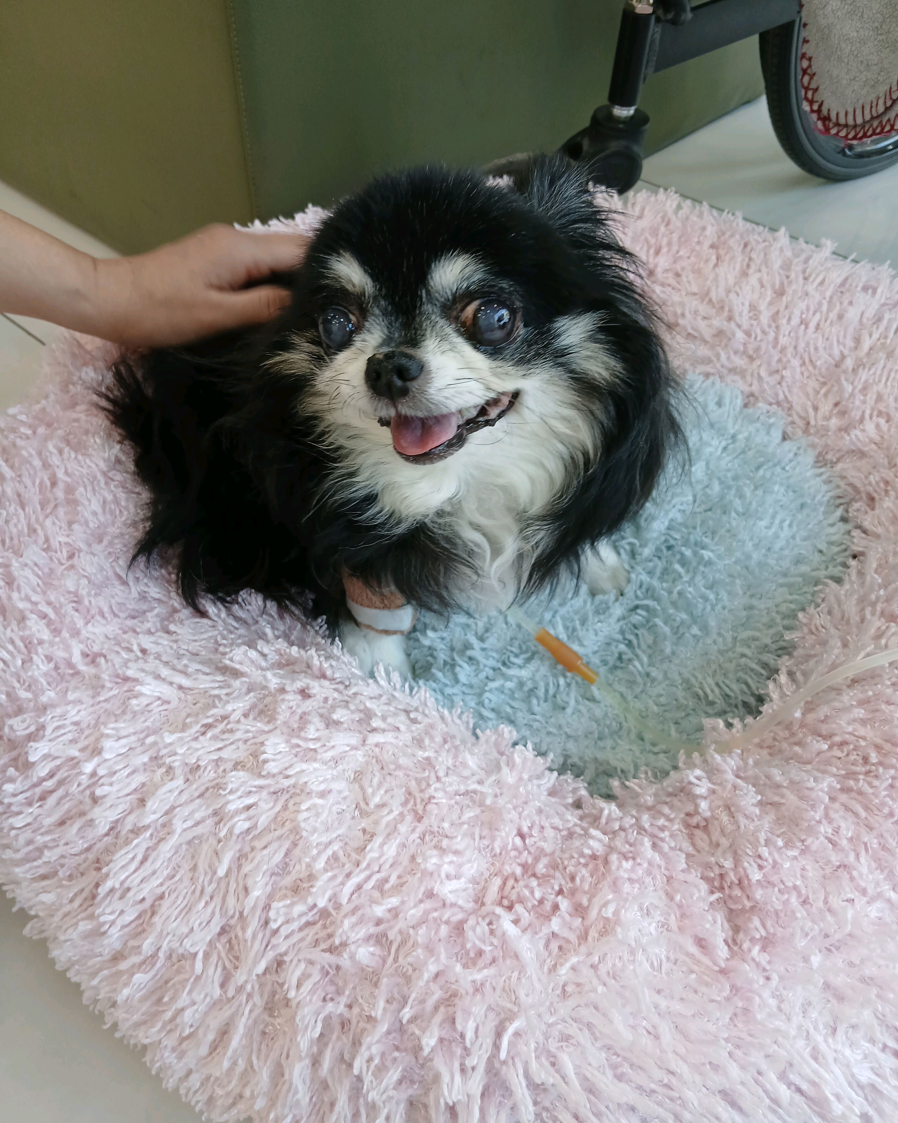 리뷰 사진 2