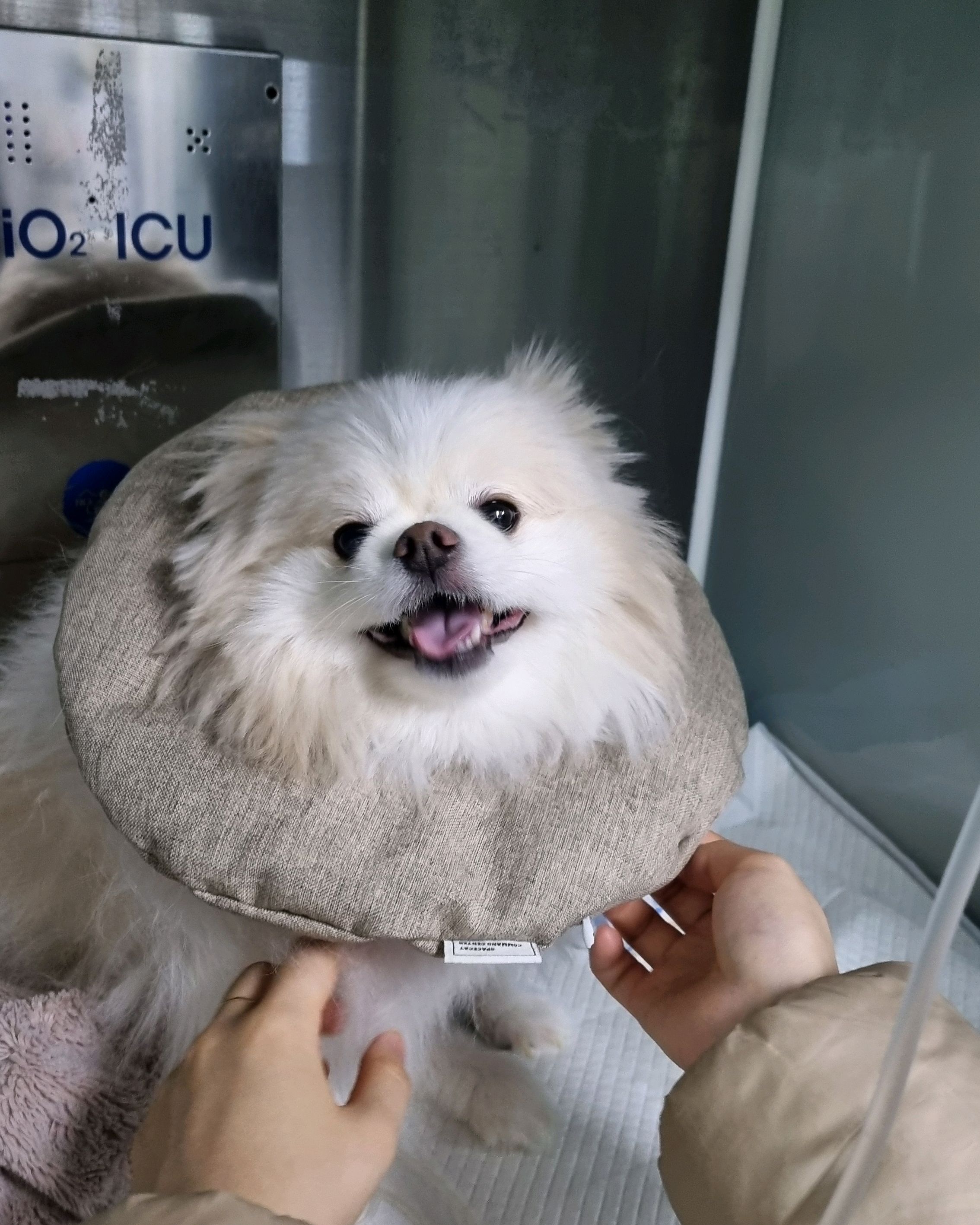 리뷰 사진 1