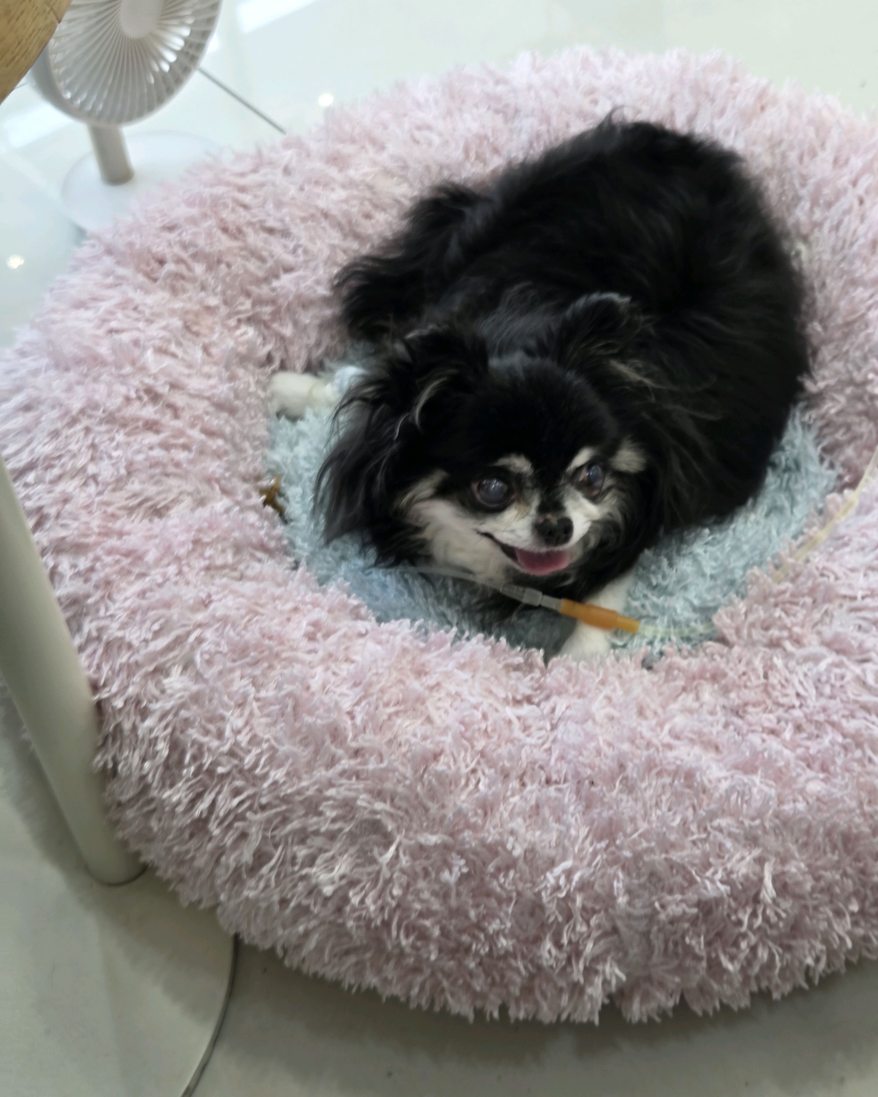 리뷰 사진 1