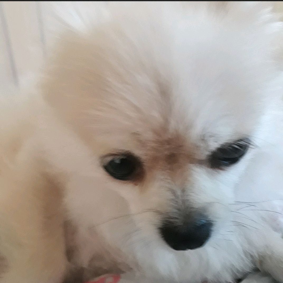 리뷰 사진 1