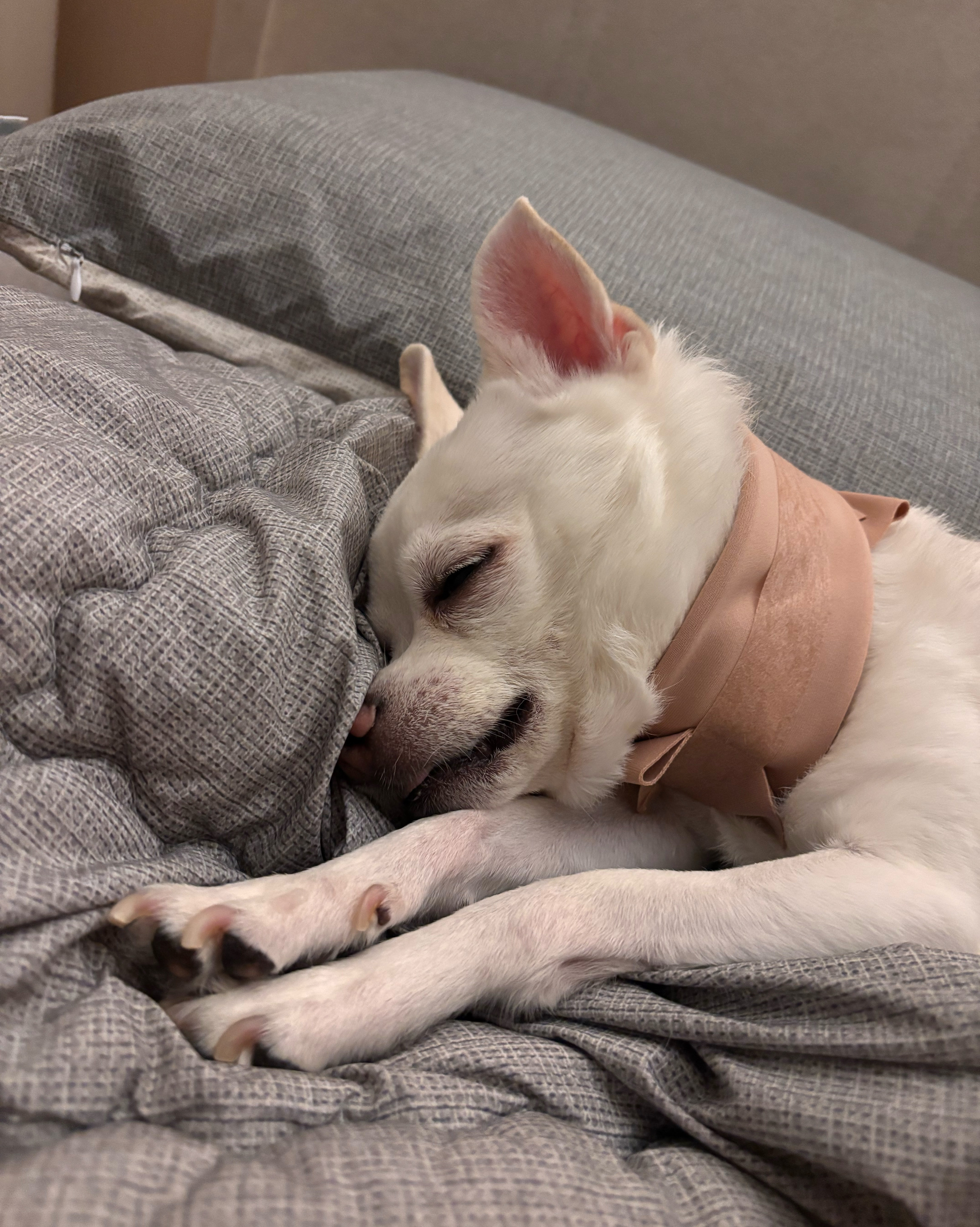 리뷰 사진 1
