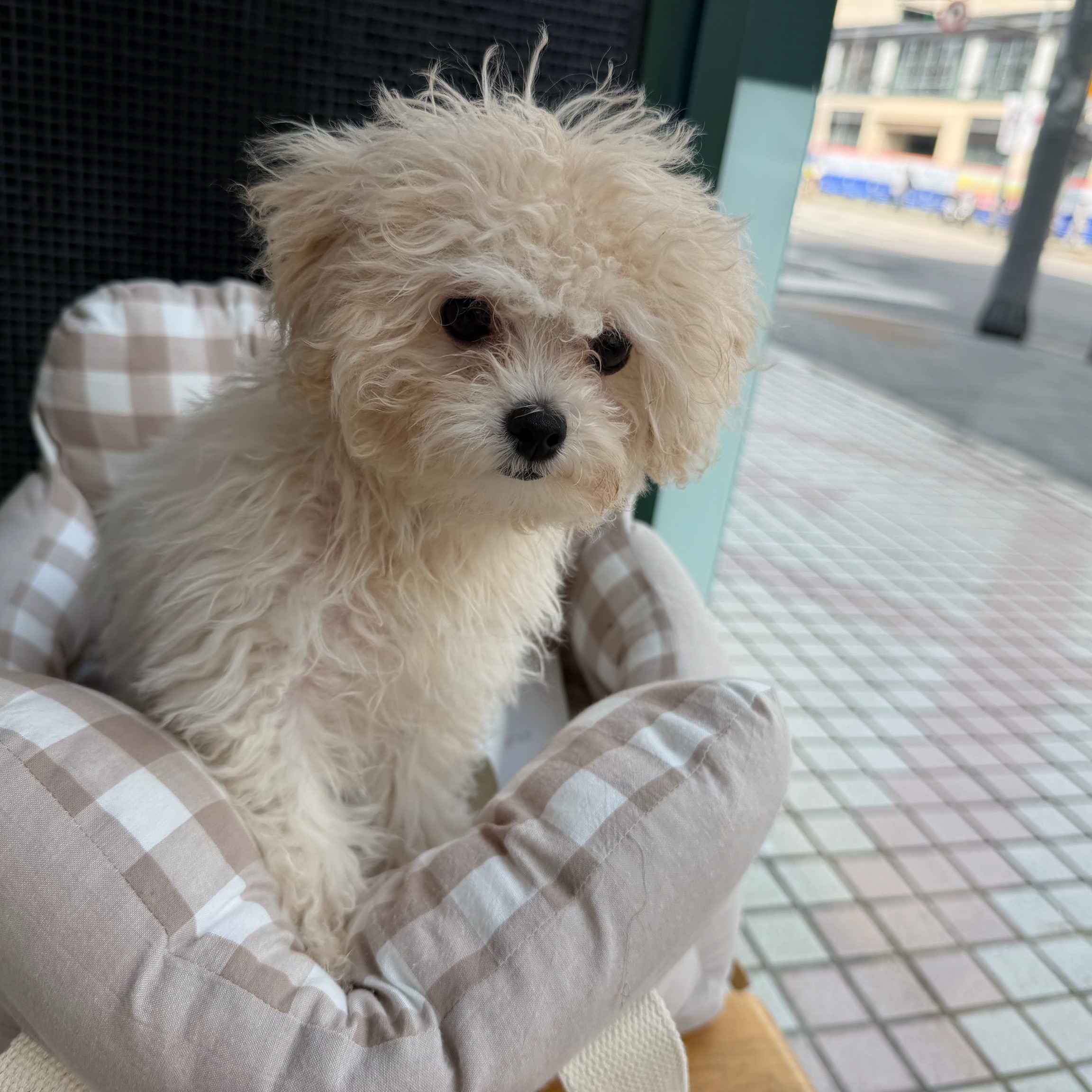 리뷰 사진 1