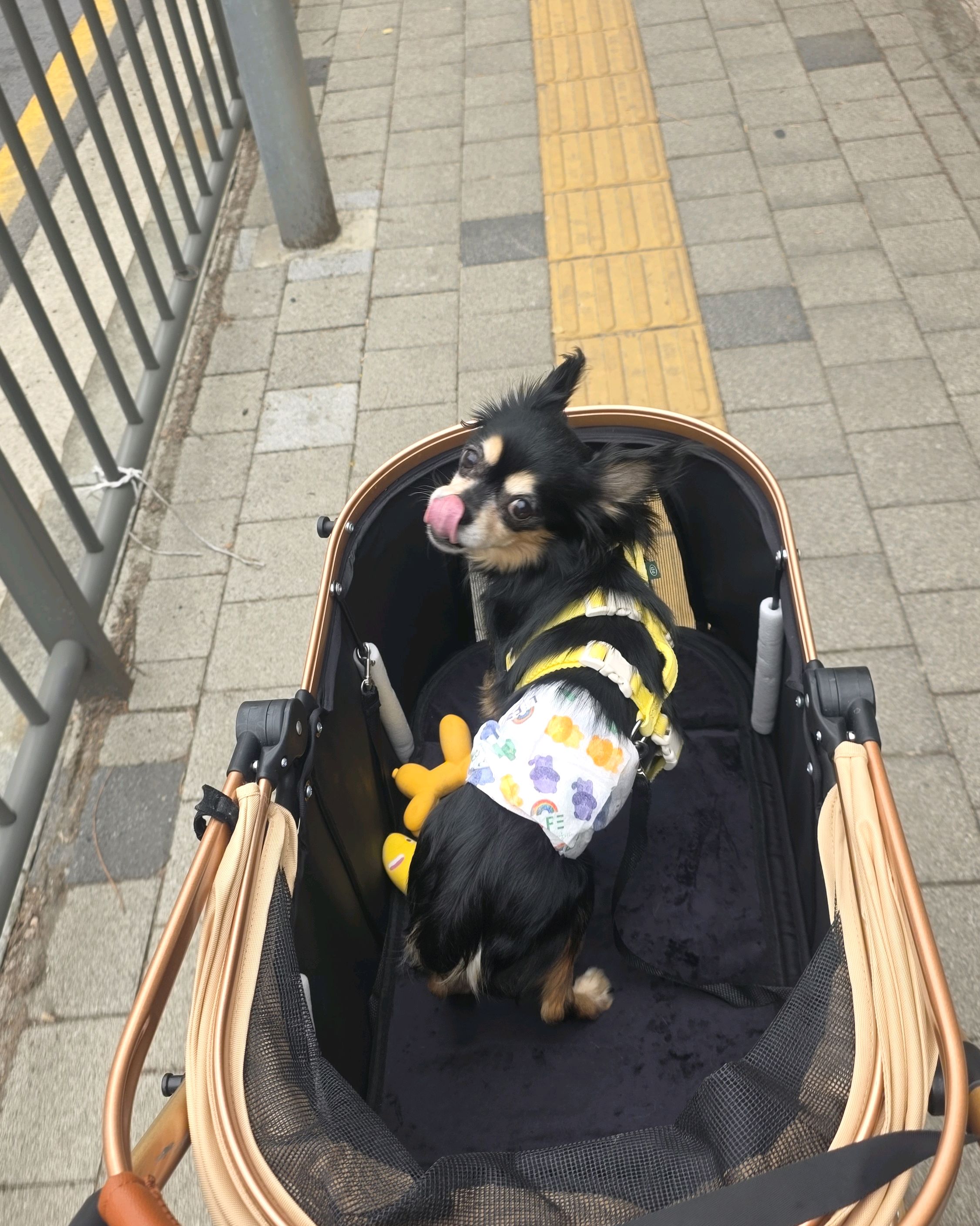 리뷰 사진 1