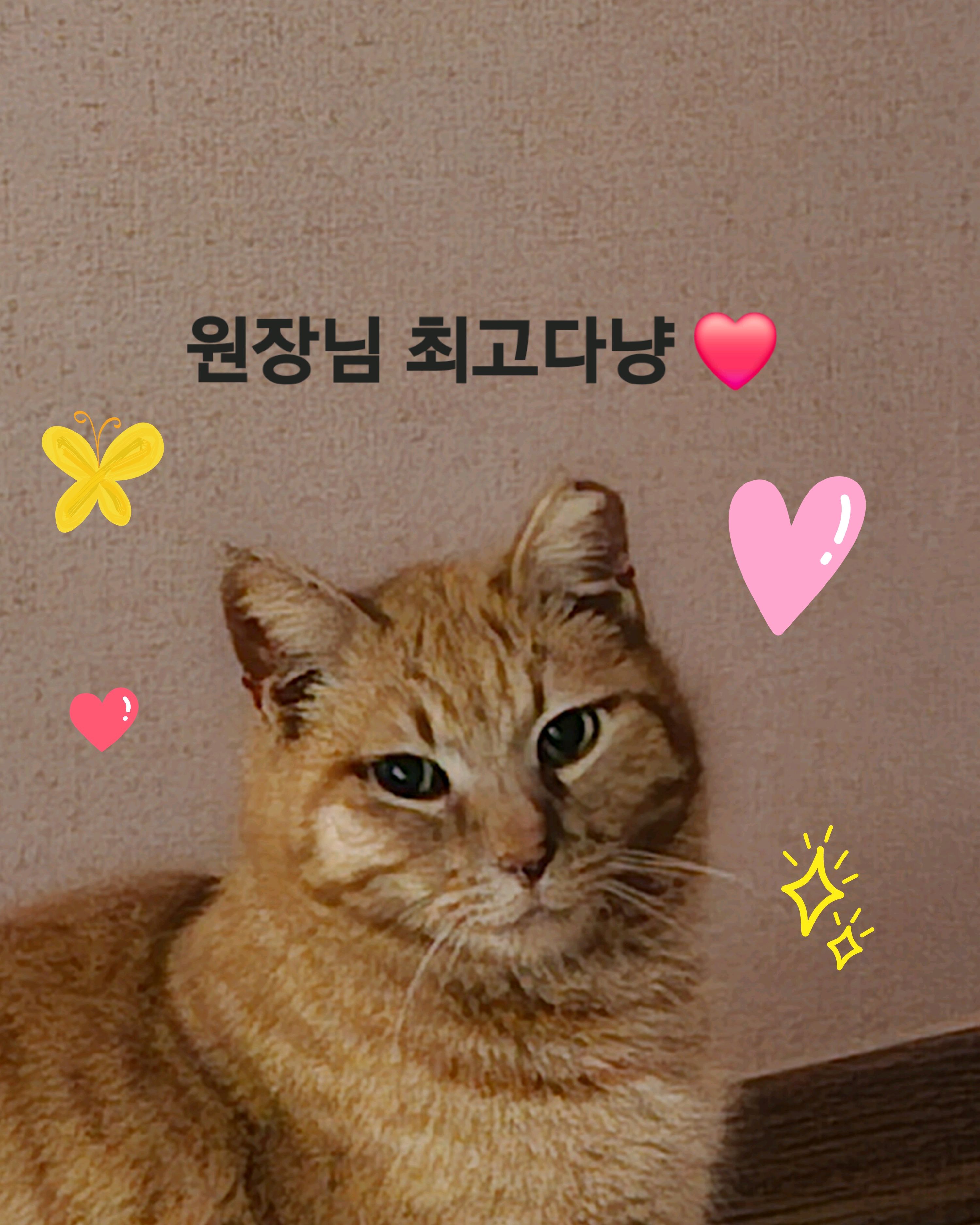 리뷰 사진 1