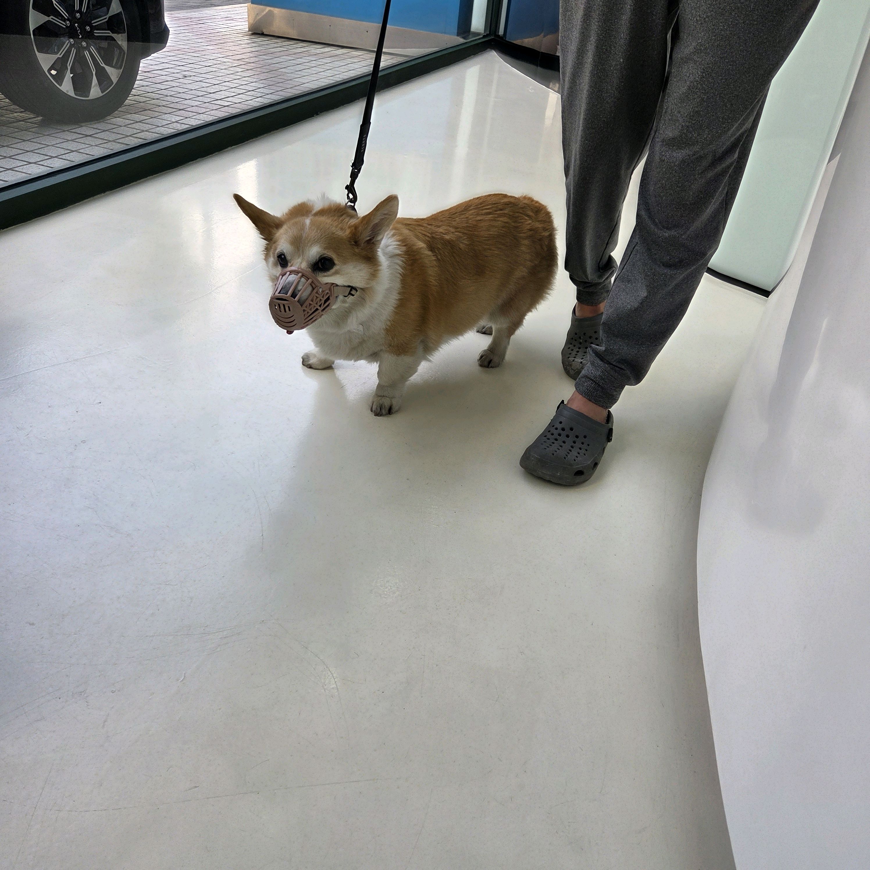 리뷰 사진 2