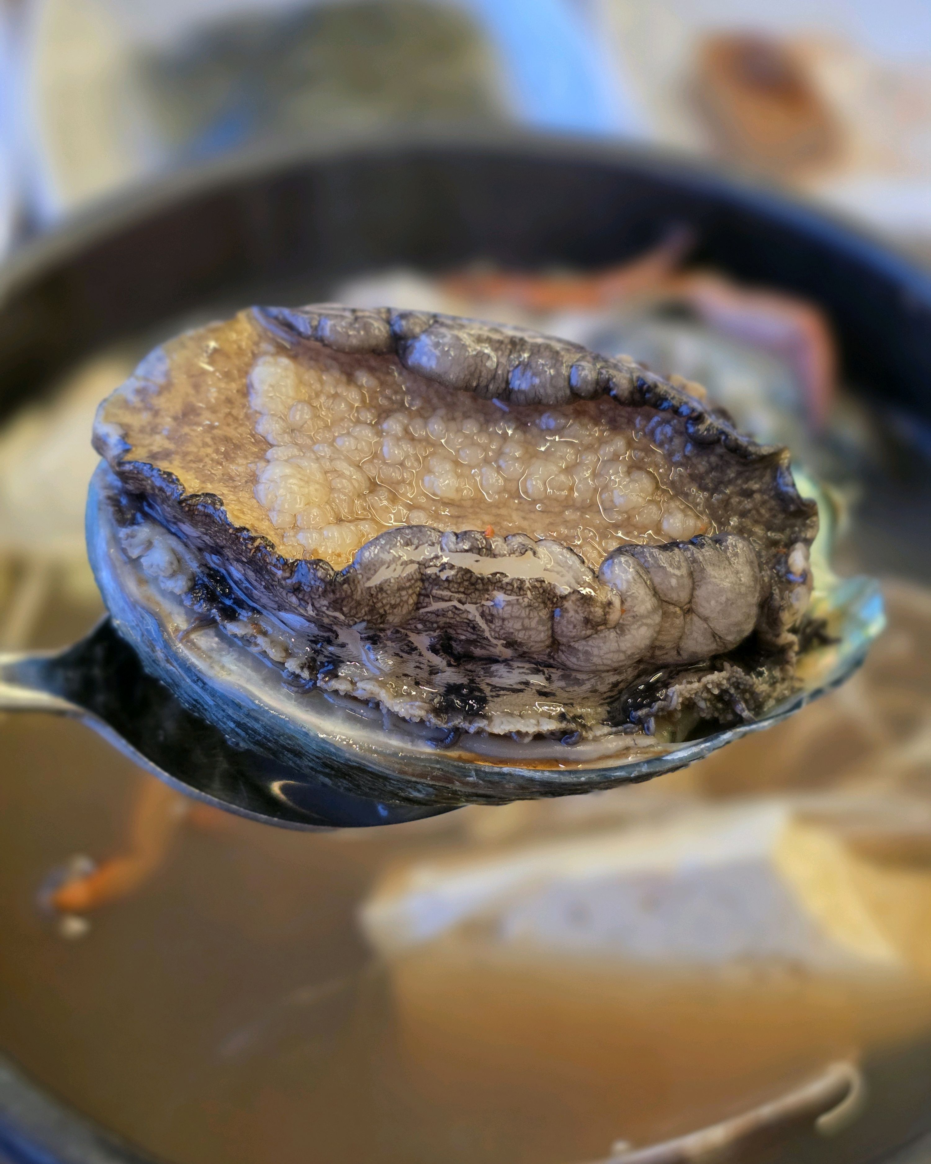 속초 전복해물뚝배기 (Sokcho Jeonbok Haemul Ttukbaegi) 9