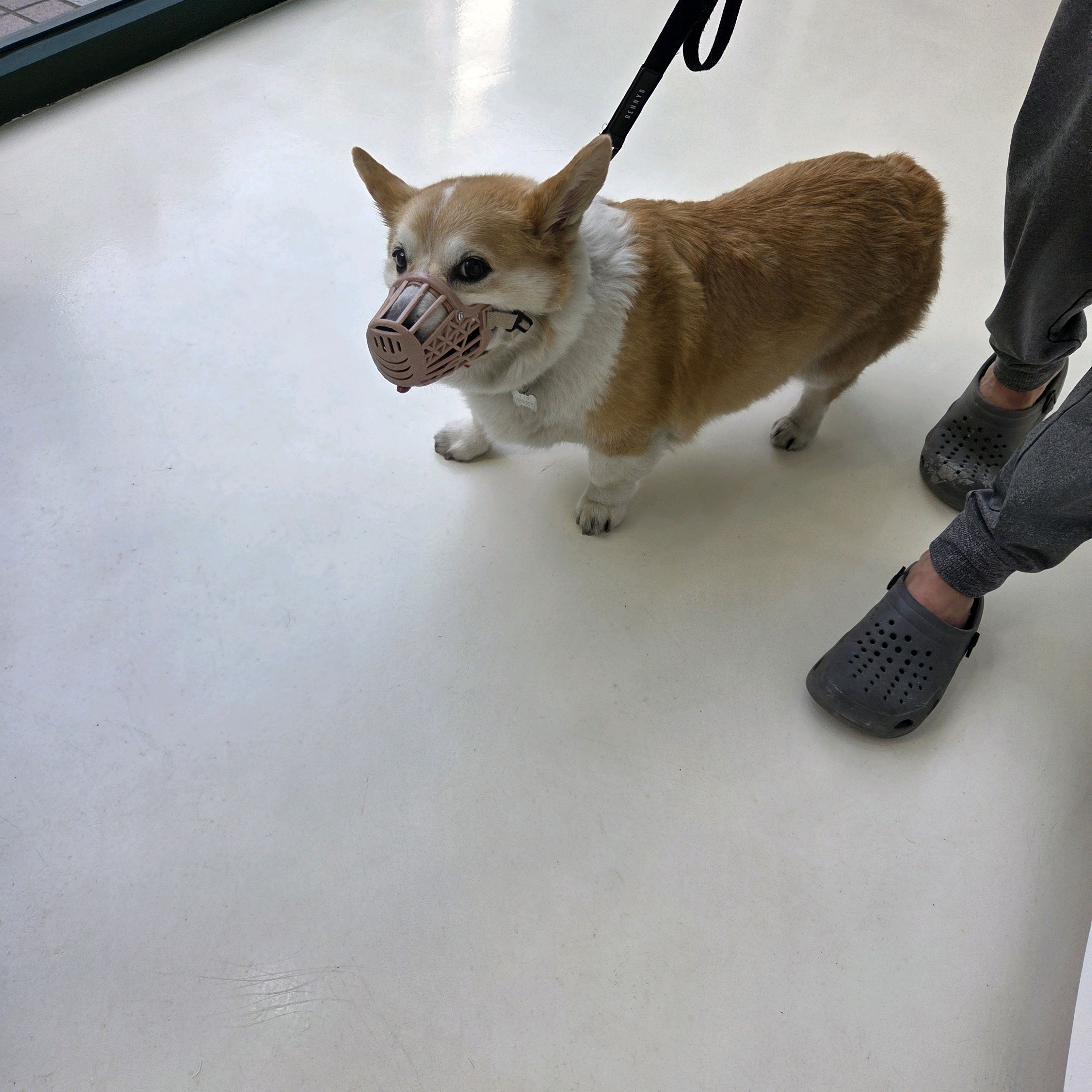 리뷰 사진 1