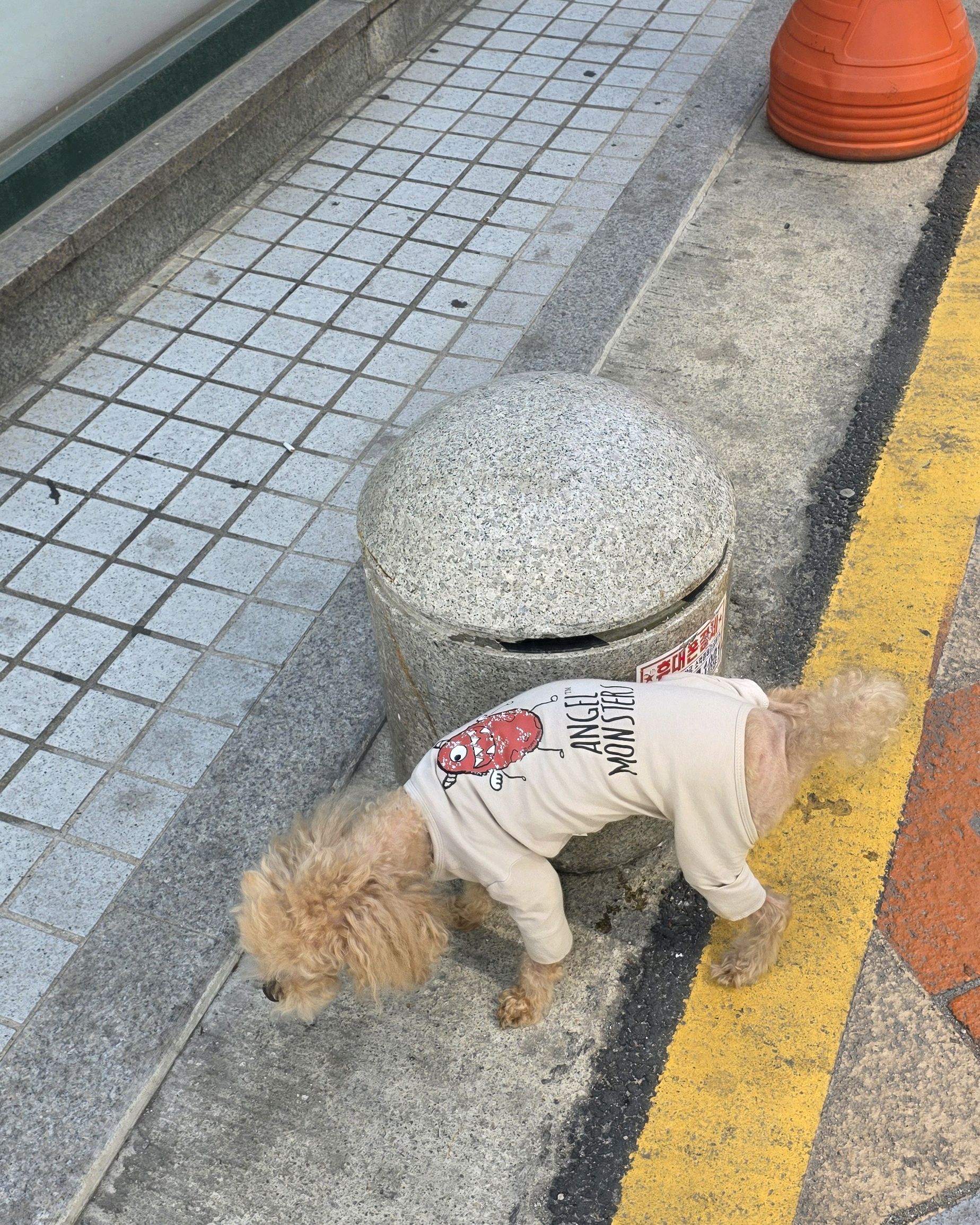 리뷰 사진 3