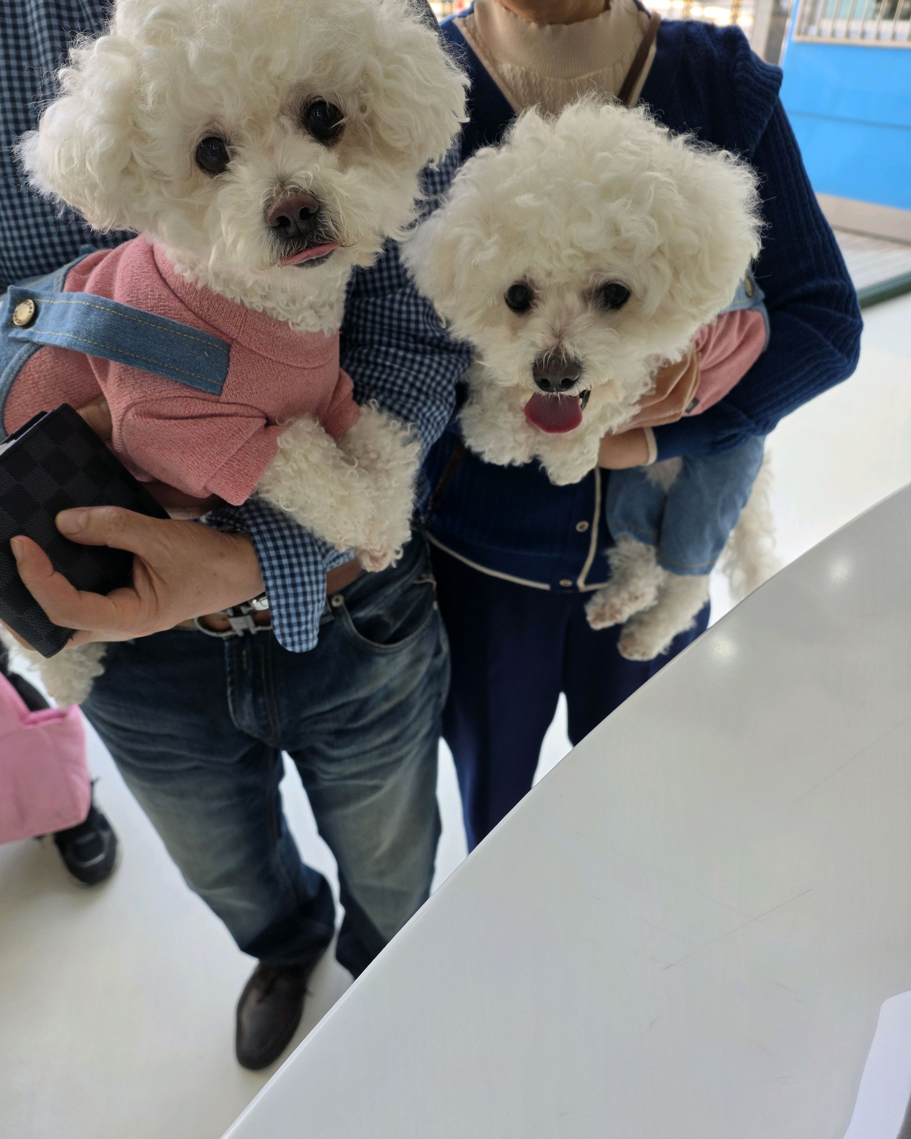 리뷰 사진 2
