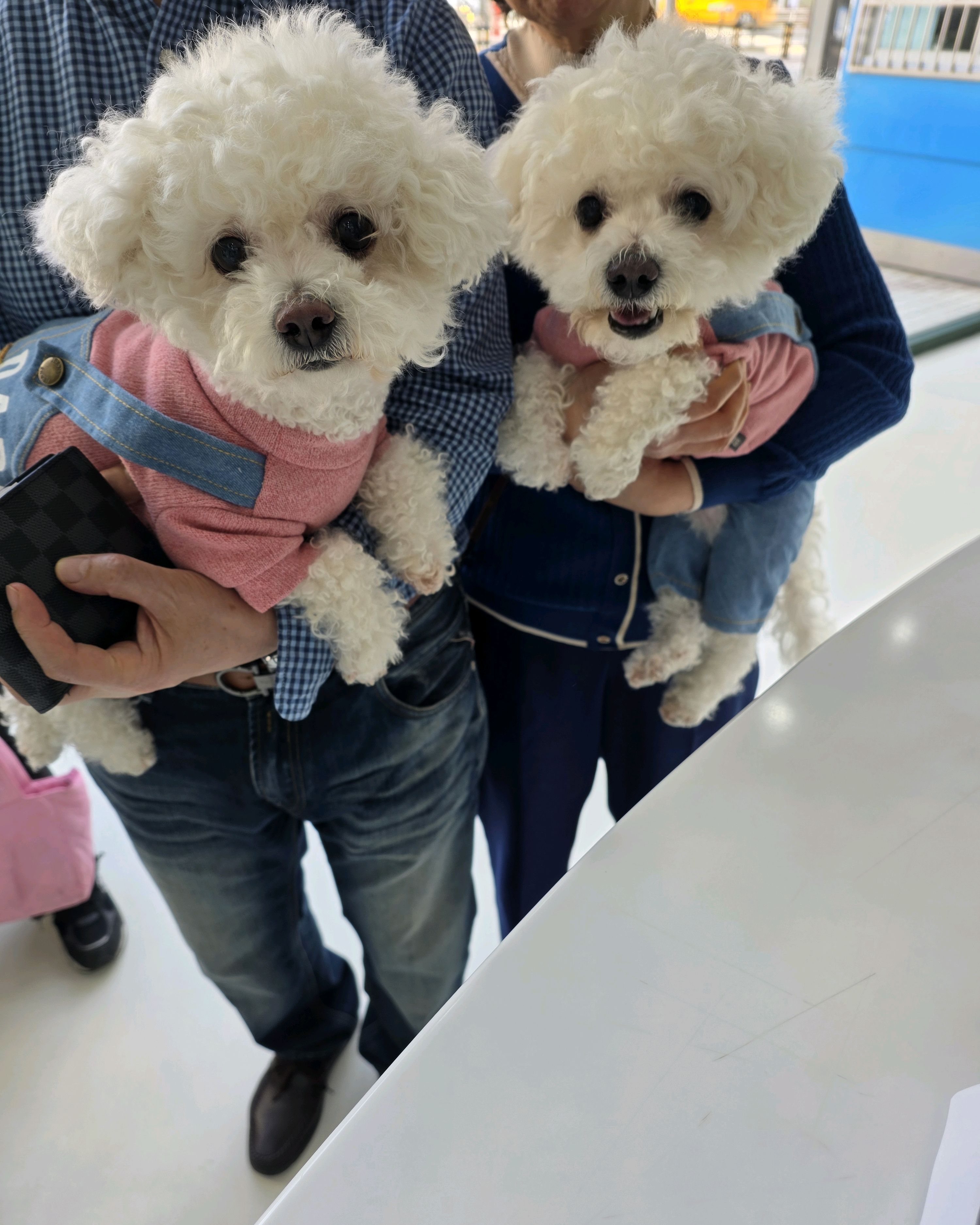 리뷰 사진 1
