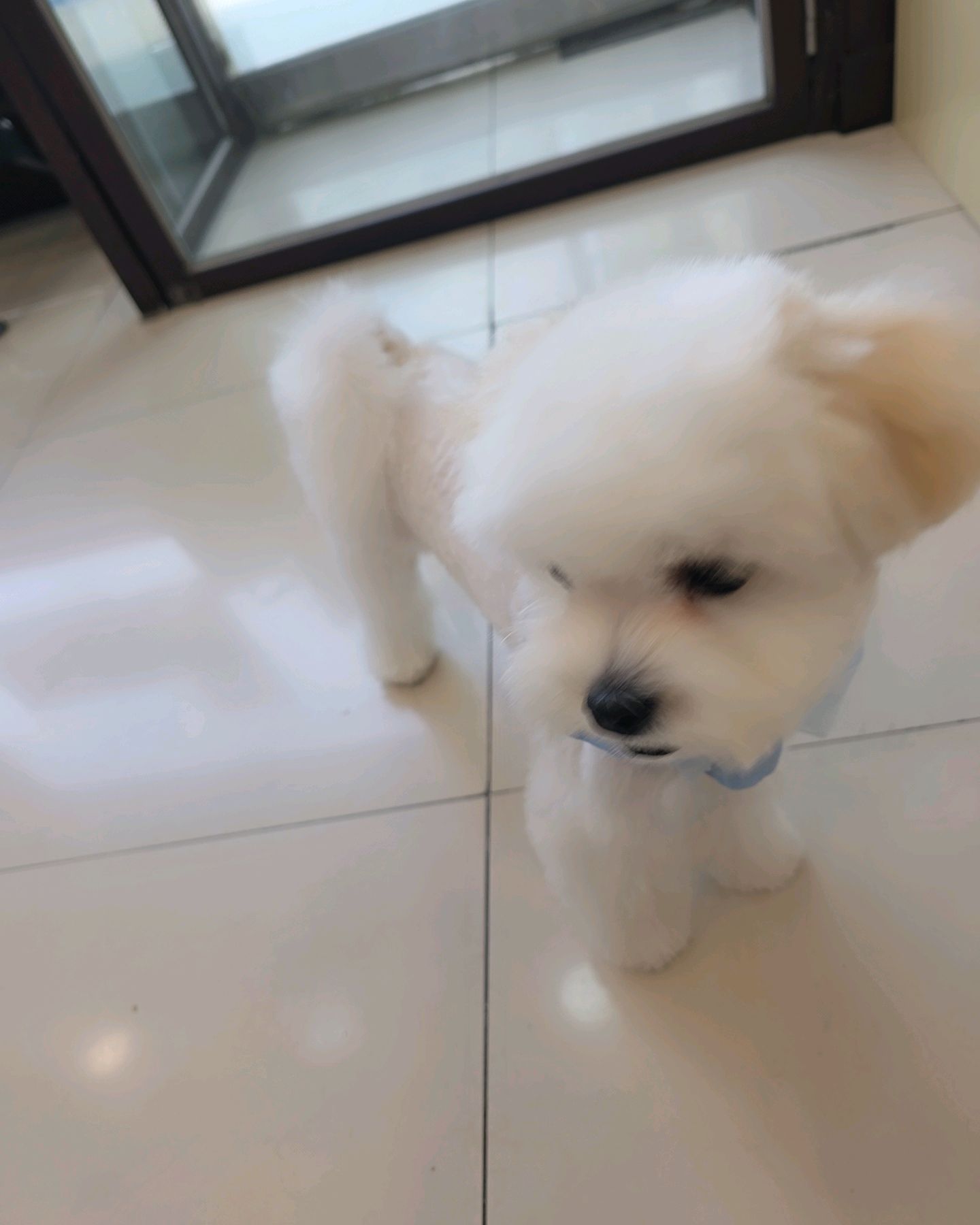 리뷰 사진 1