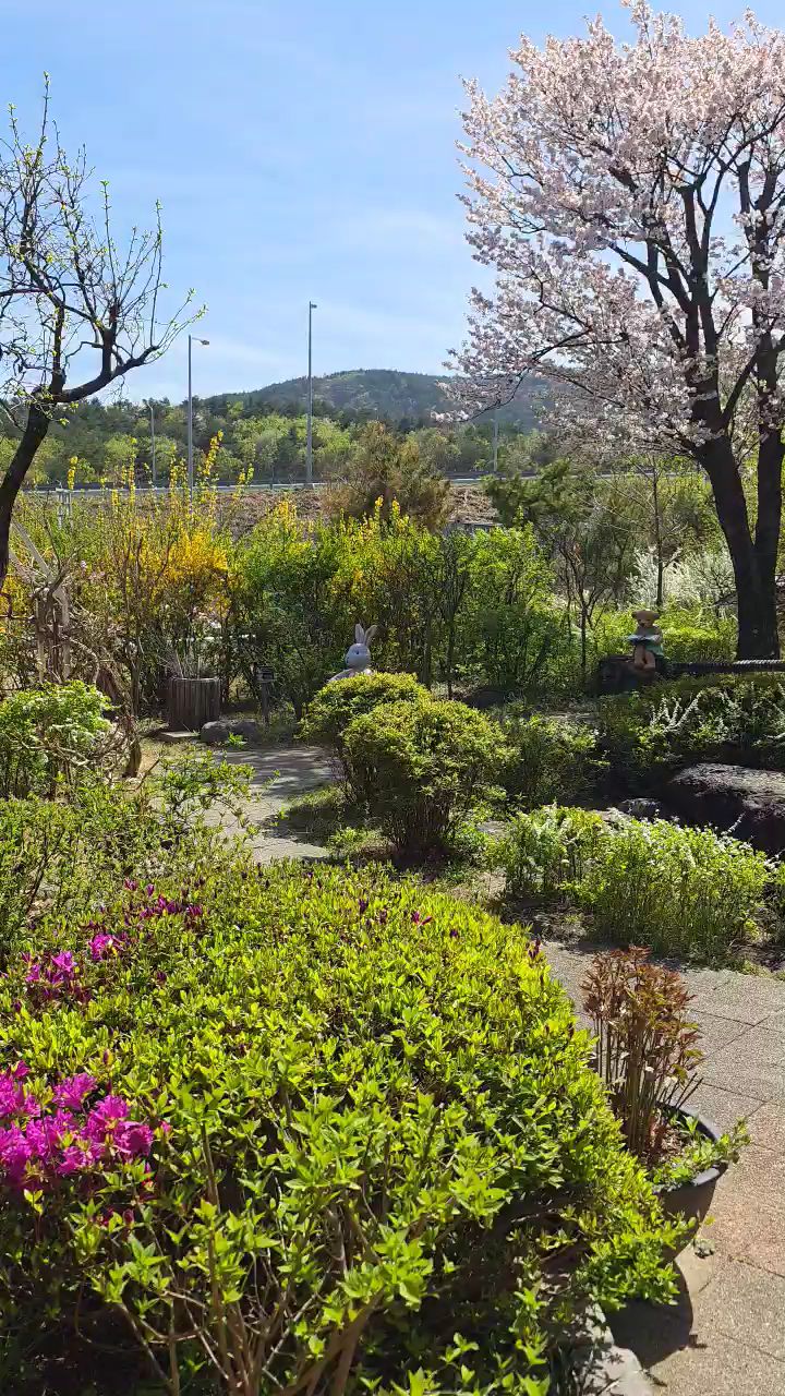 테디베어팜 (Teddy Bear Farm) 6