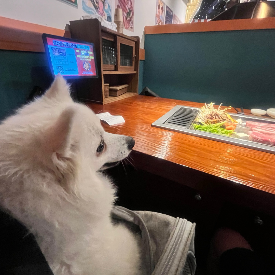 푸짐하게 차려진 삼겹살 한 상