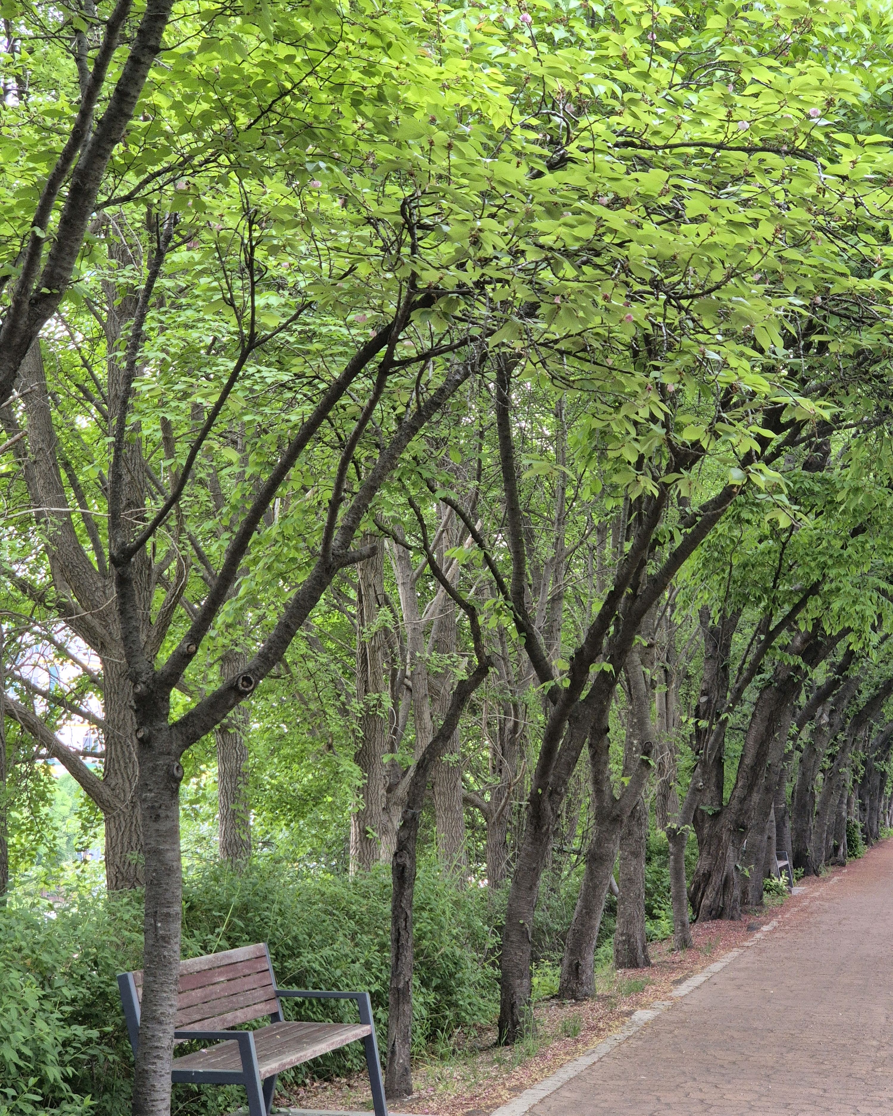 카페 테이블 위의 라떼와 책