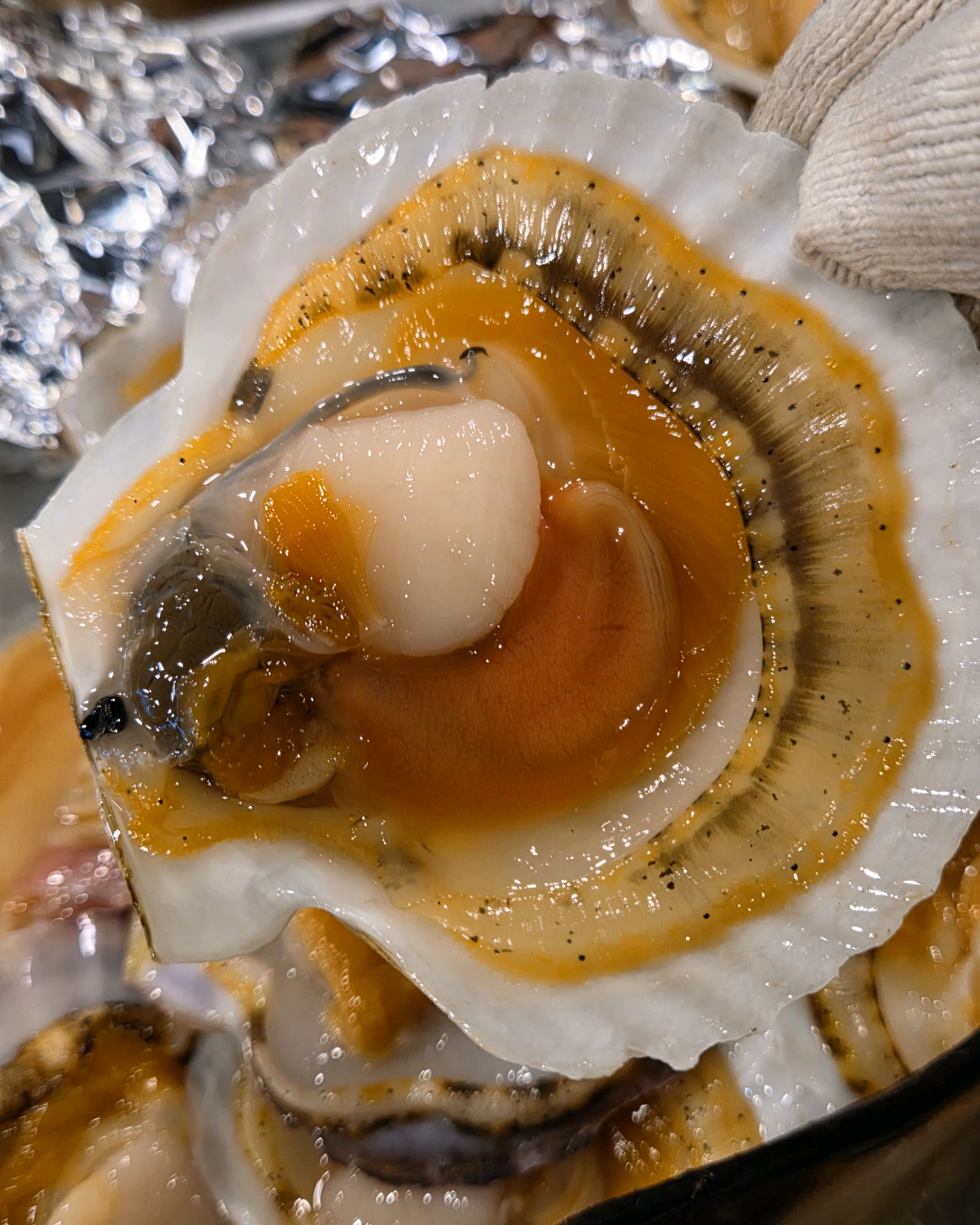 속초조개마을 (Sokcho Jogae Maeul) 7